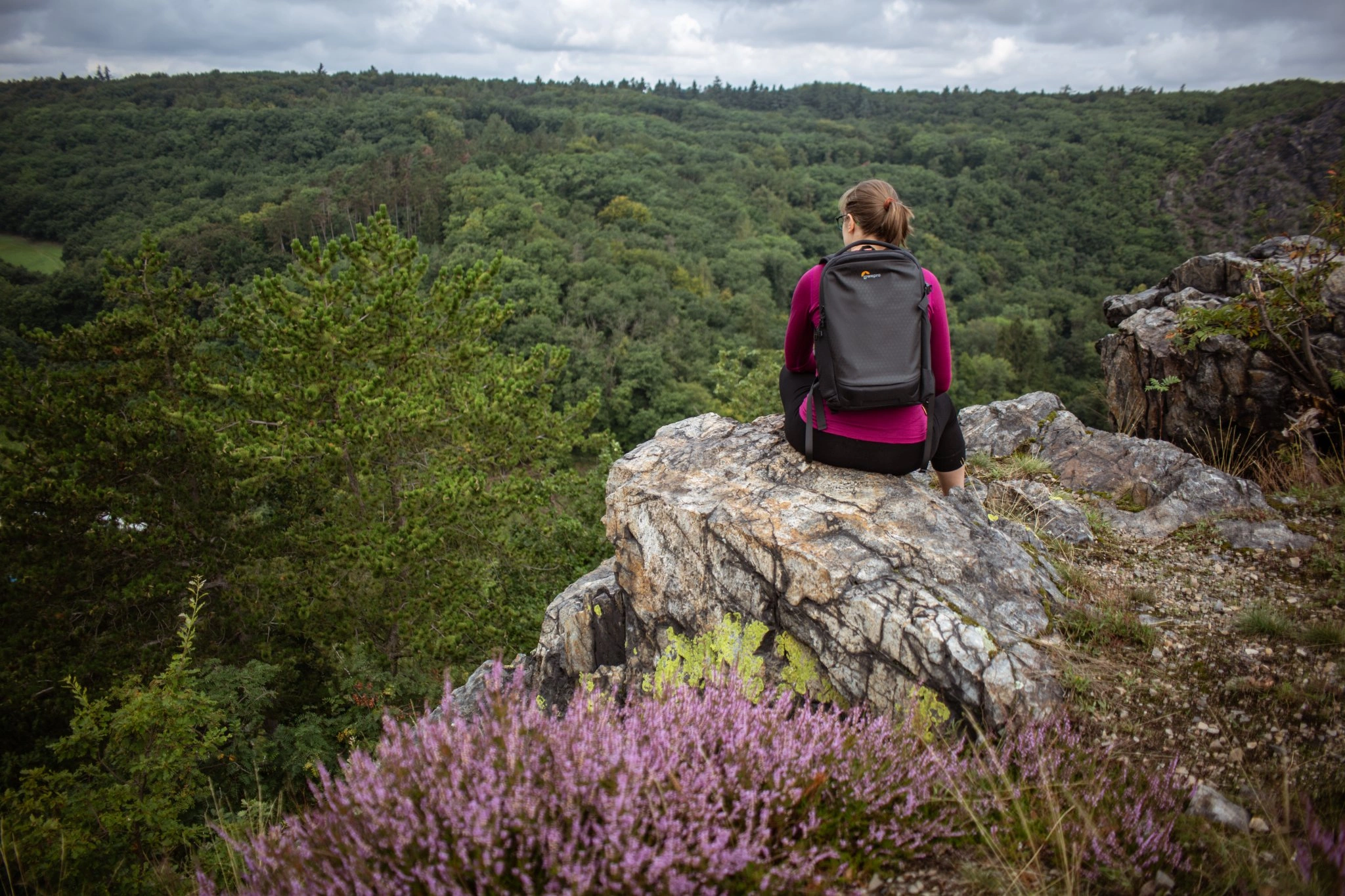 Lowepro Flipside 300 AW III