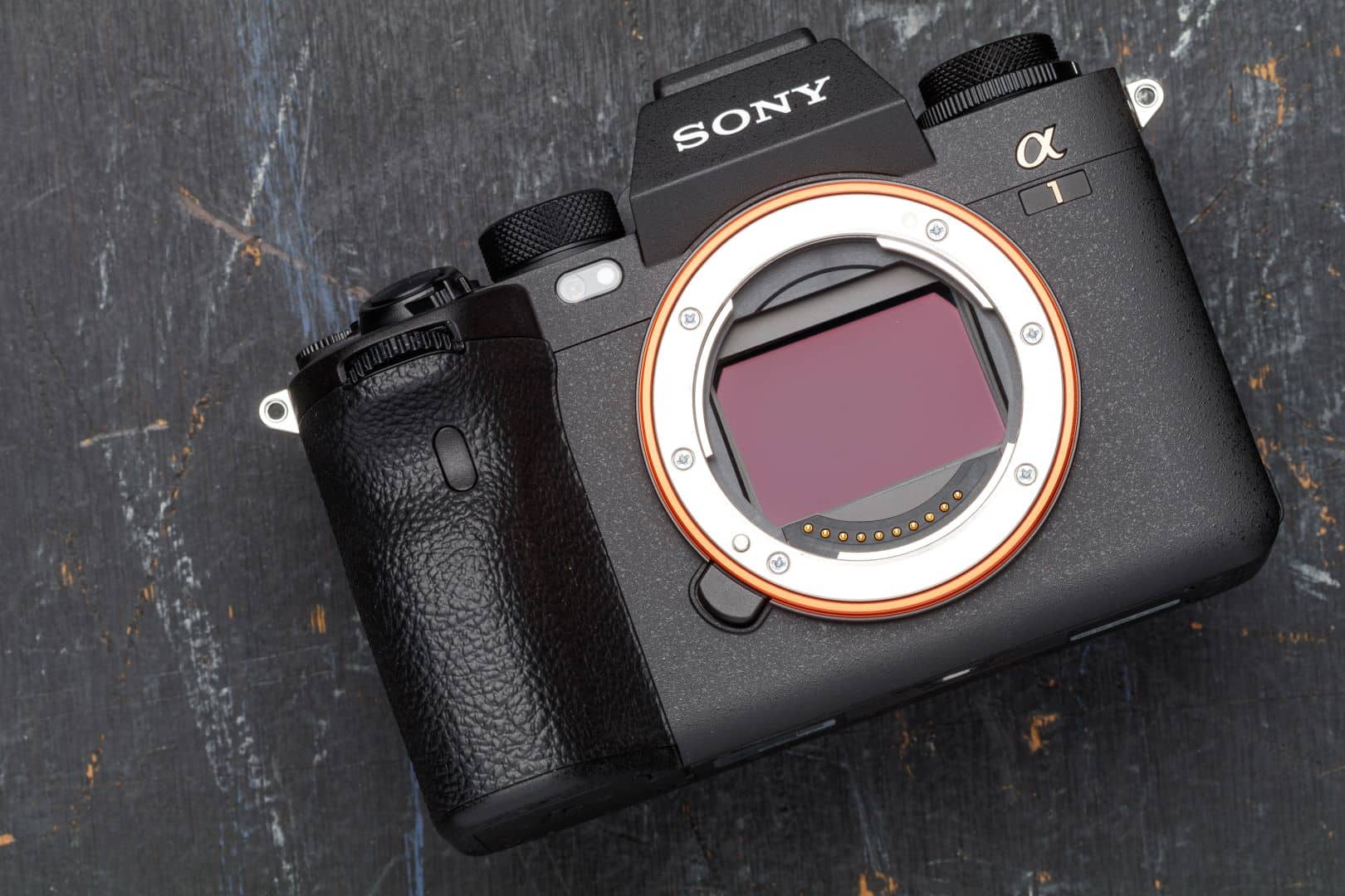 Sony A1 02