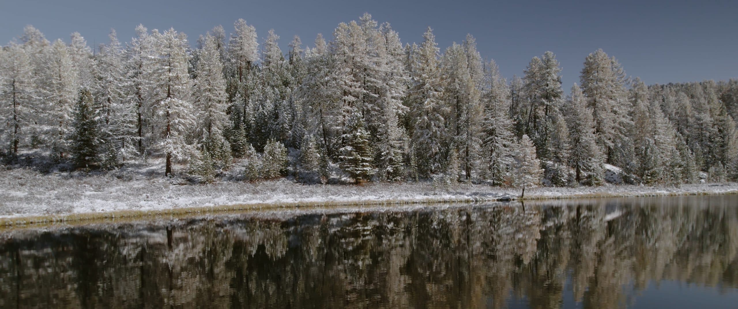 Thước phim ‘Spirit of Altai’ thực hiện với DJI Air 2S cho thấy vẻ đẹp đáng giá của vùng đất Siberia
