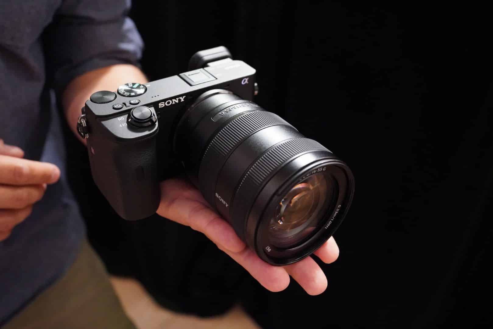 Sony a6600