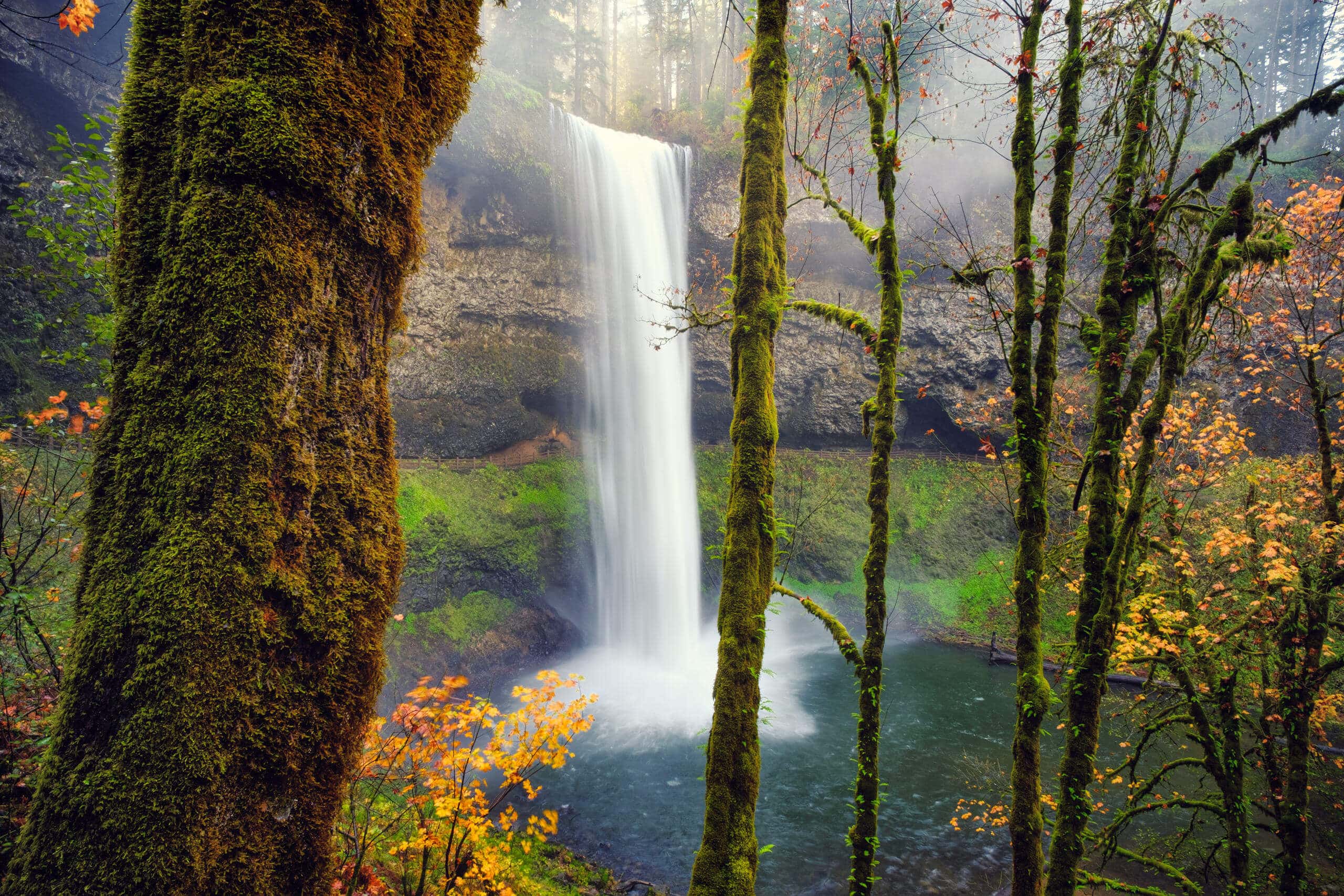 nicolesy waterfall silver falls