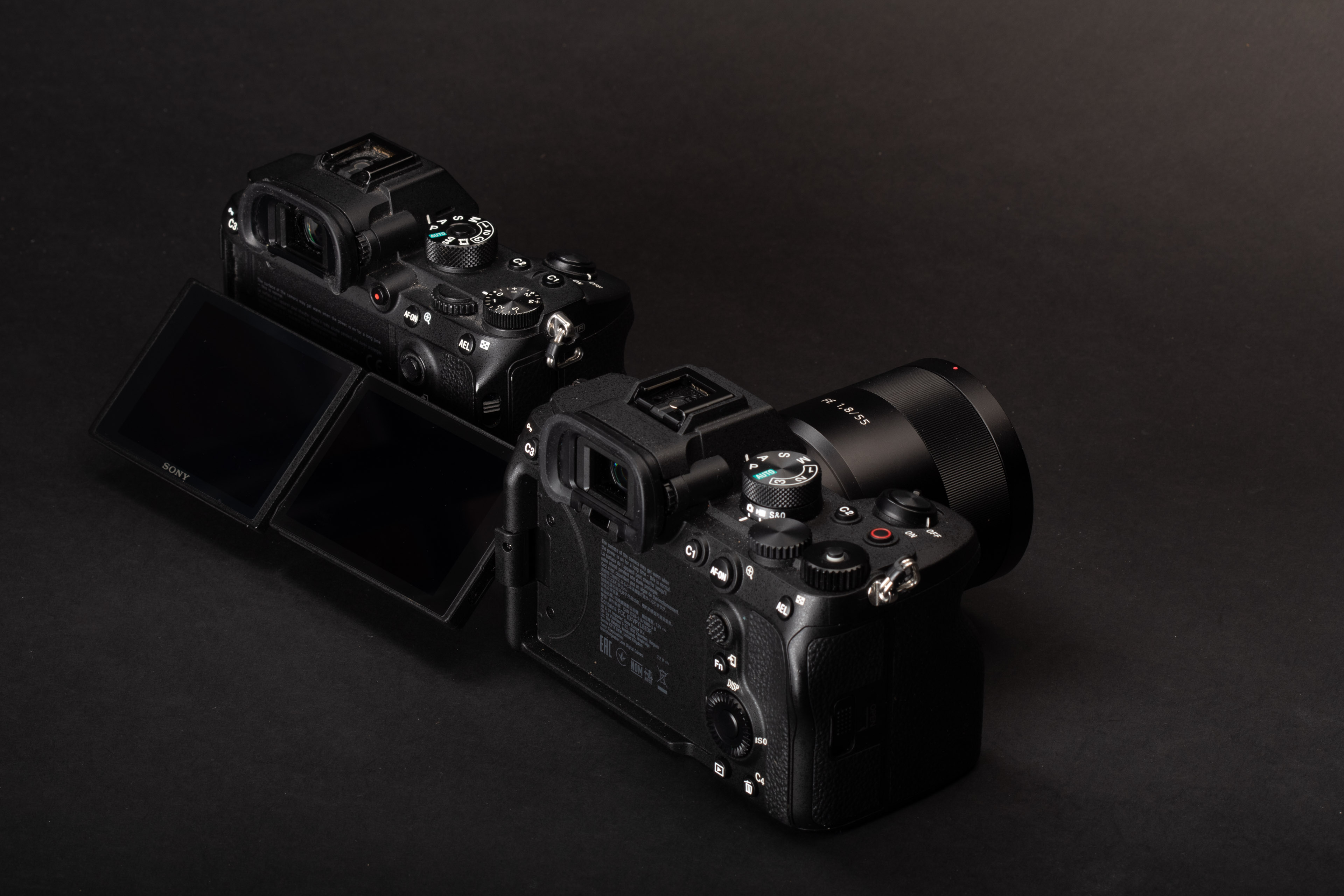 Sony a7 IV vs a7R III 08