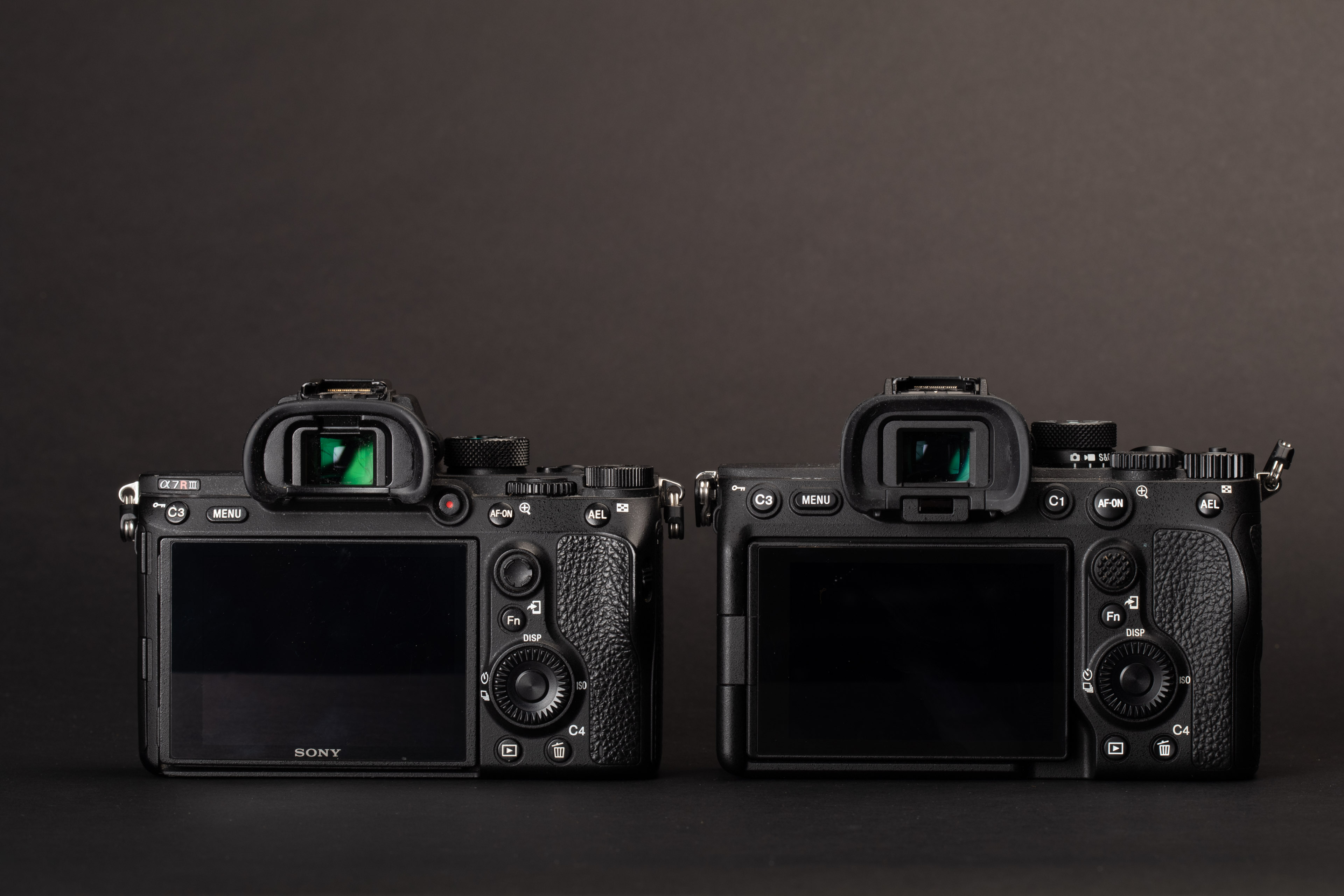 Sony a7 IV vs a7R III 09