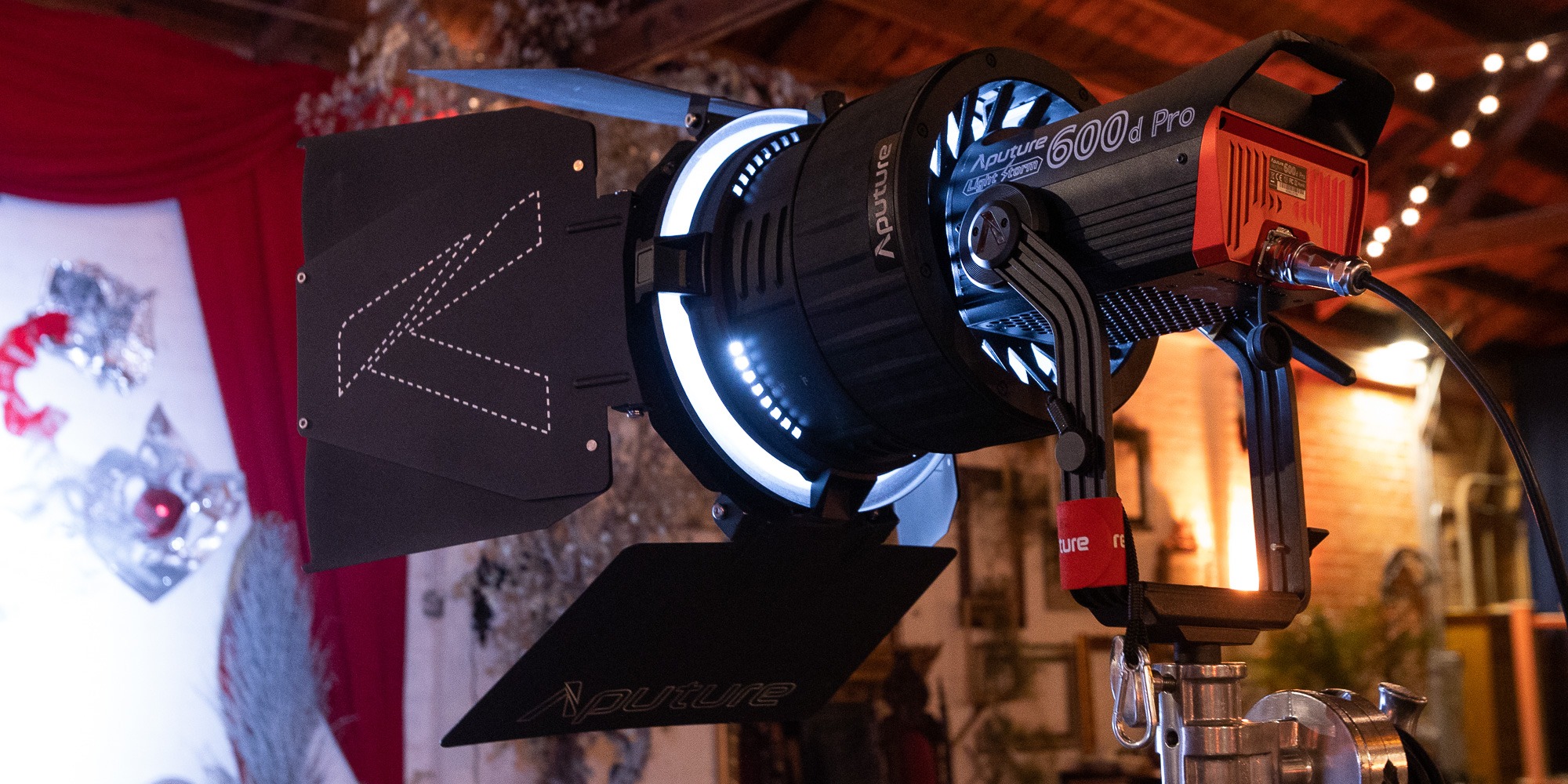 Aputure F10 Barn Doors 03