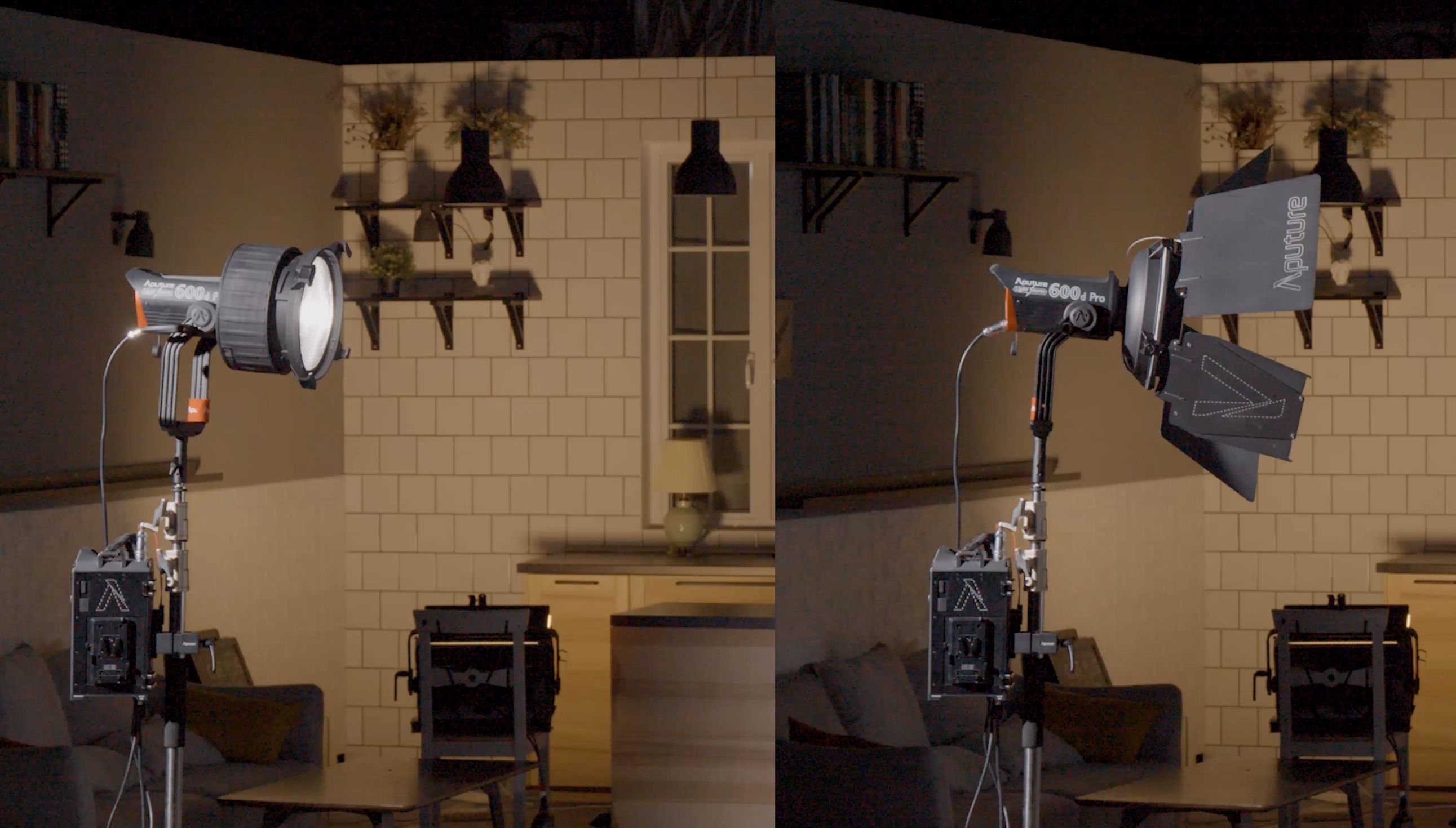 Aputure LS 600d Pro Daylight 01