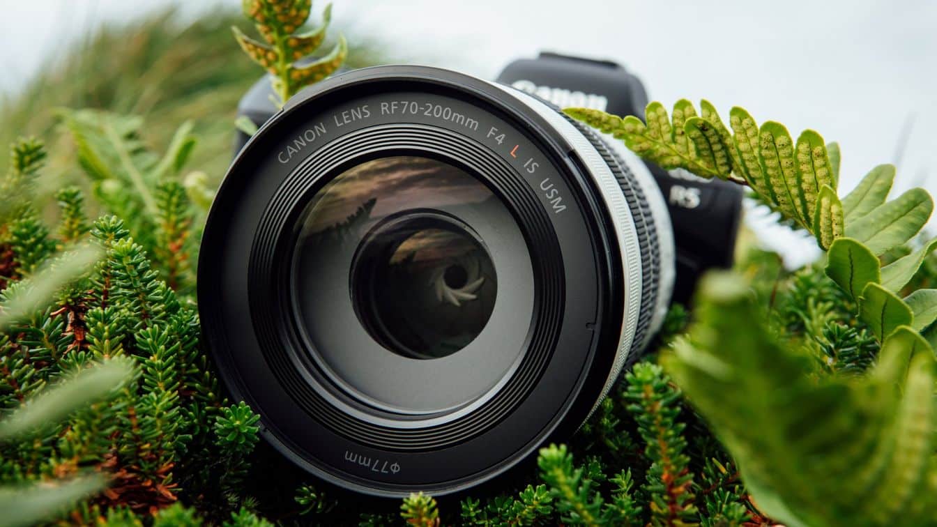Canon RF 70 200 F4 010