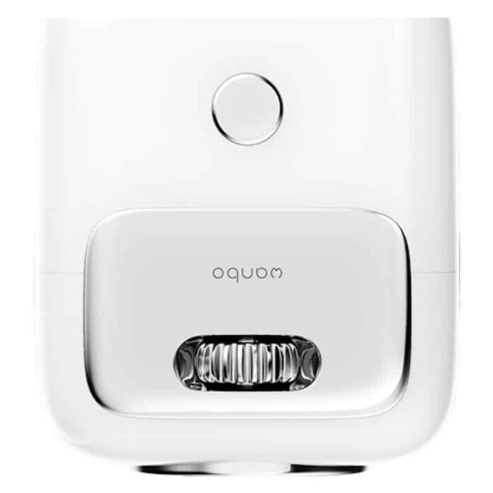 Máy chiếu mini Wanbo T2R Max