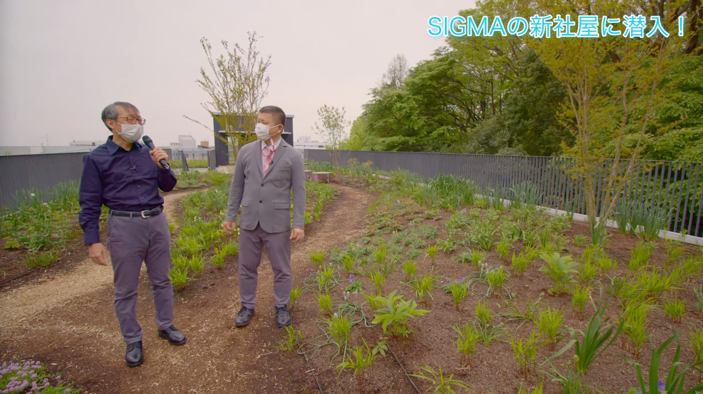 Sigma Headquarters 6