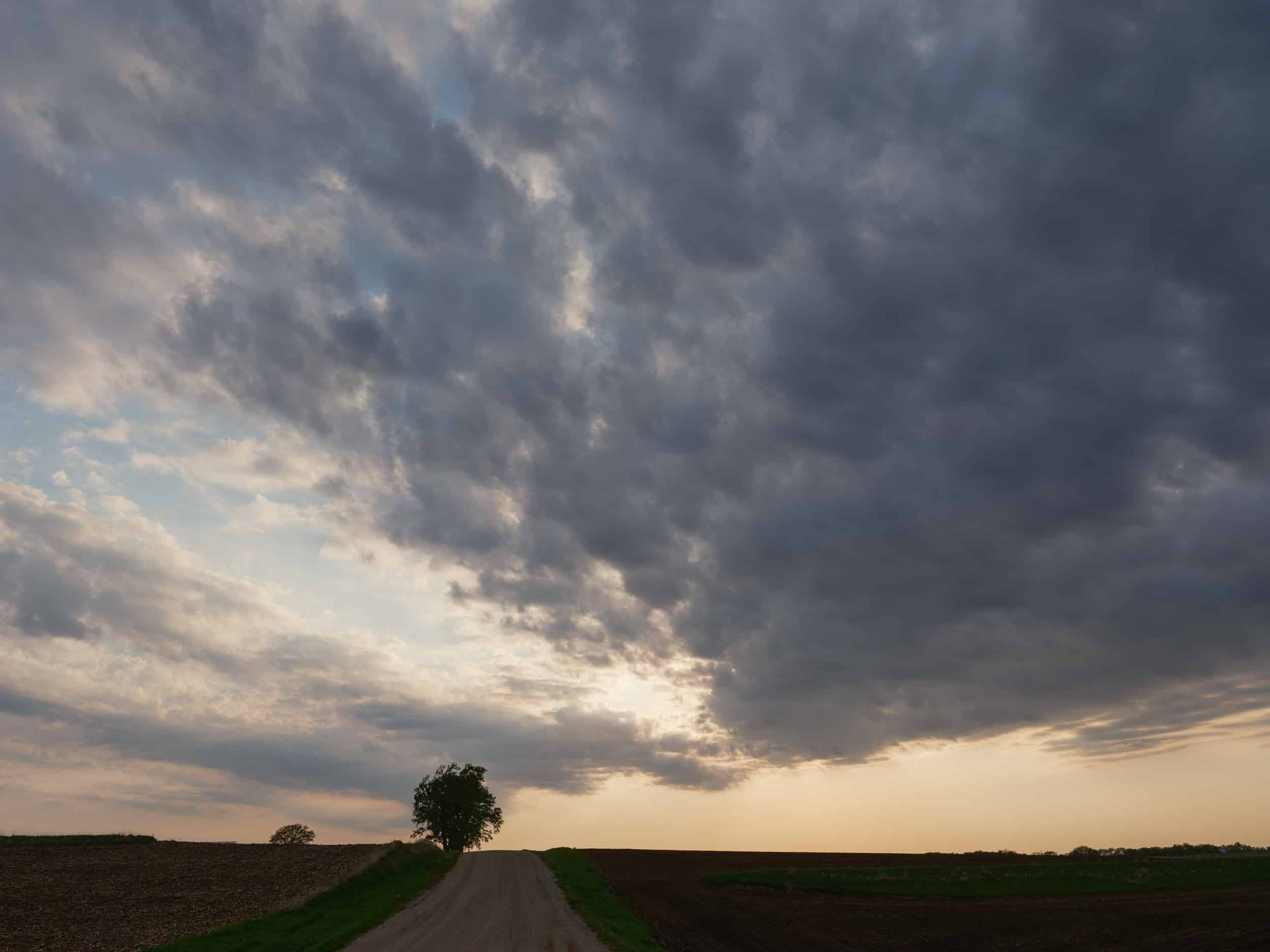 First shot GFX50S II 04