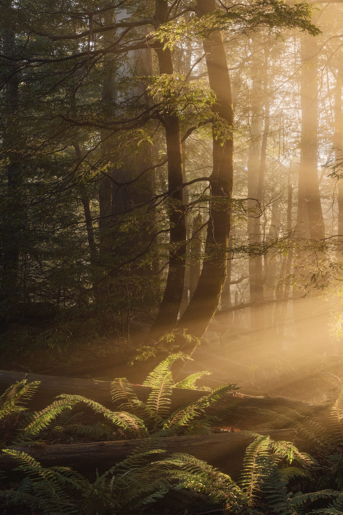 5 lesson landscape photography04