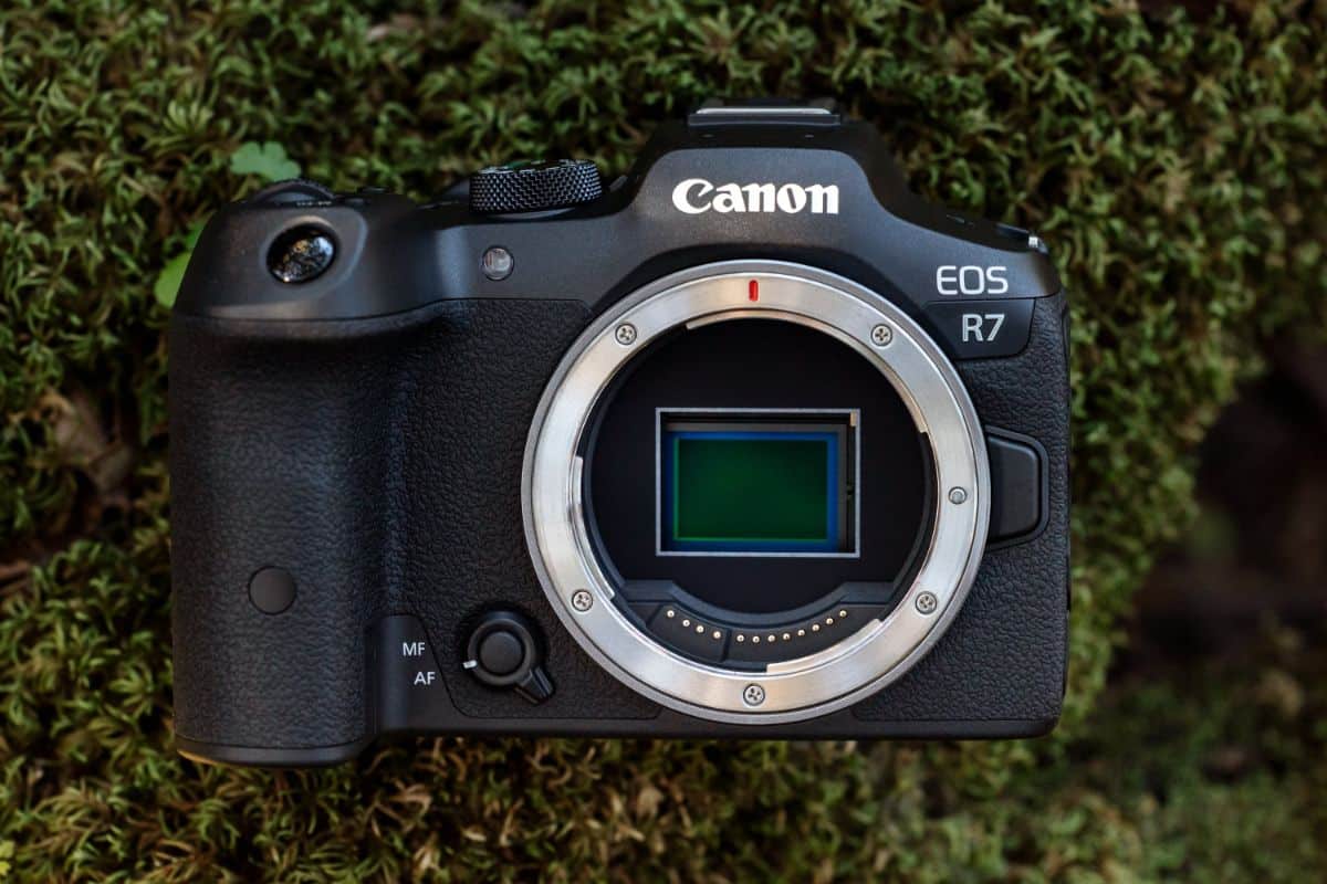 Canon EOS R7 03