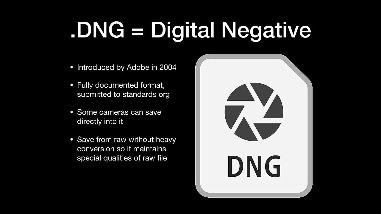 DNG File 2