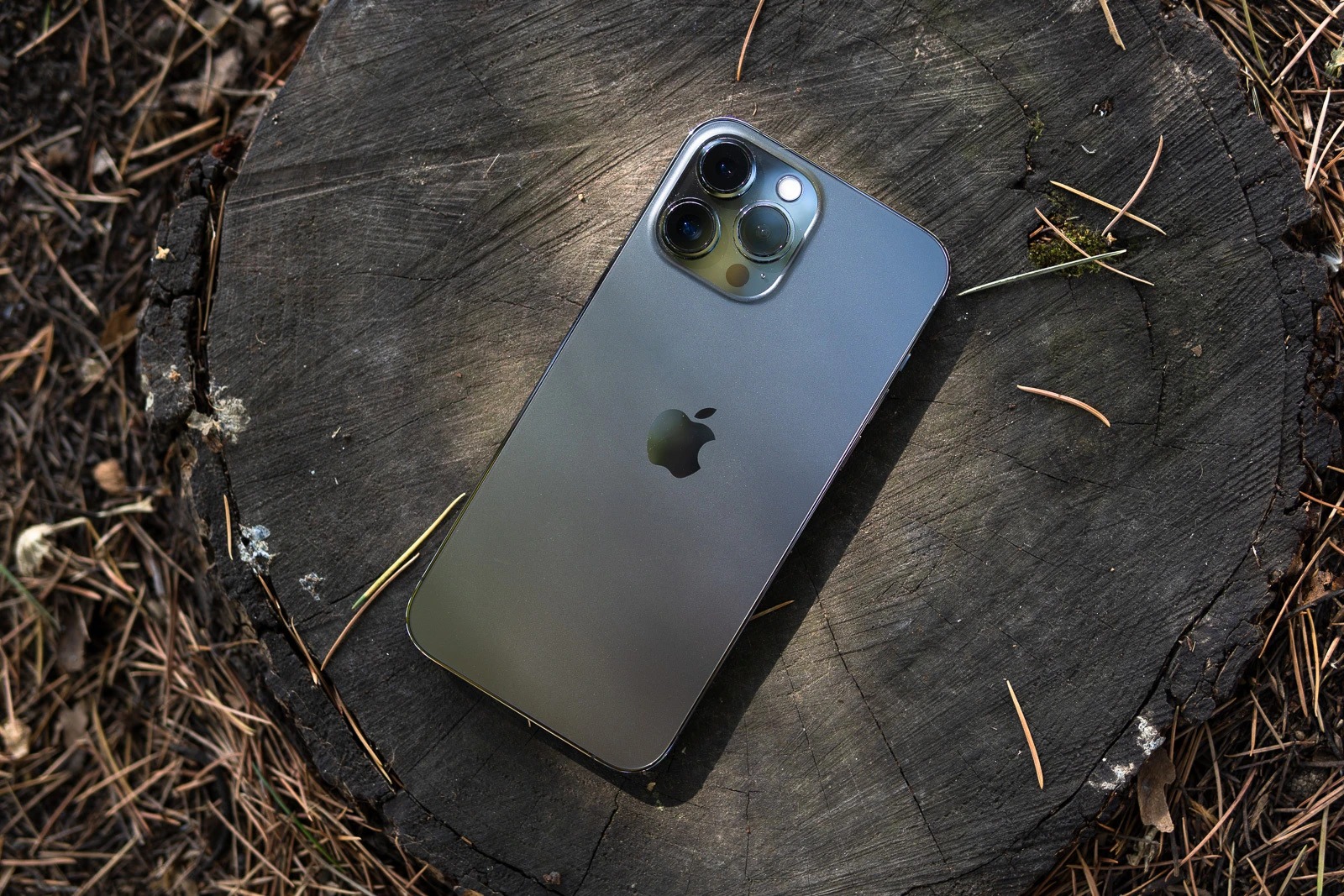 iPhone 13 Pro Max Camera