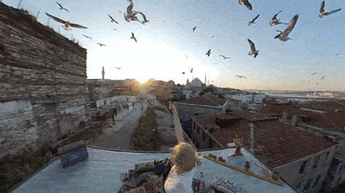 bullet time insta360