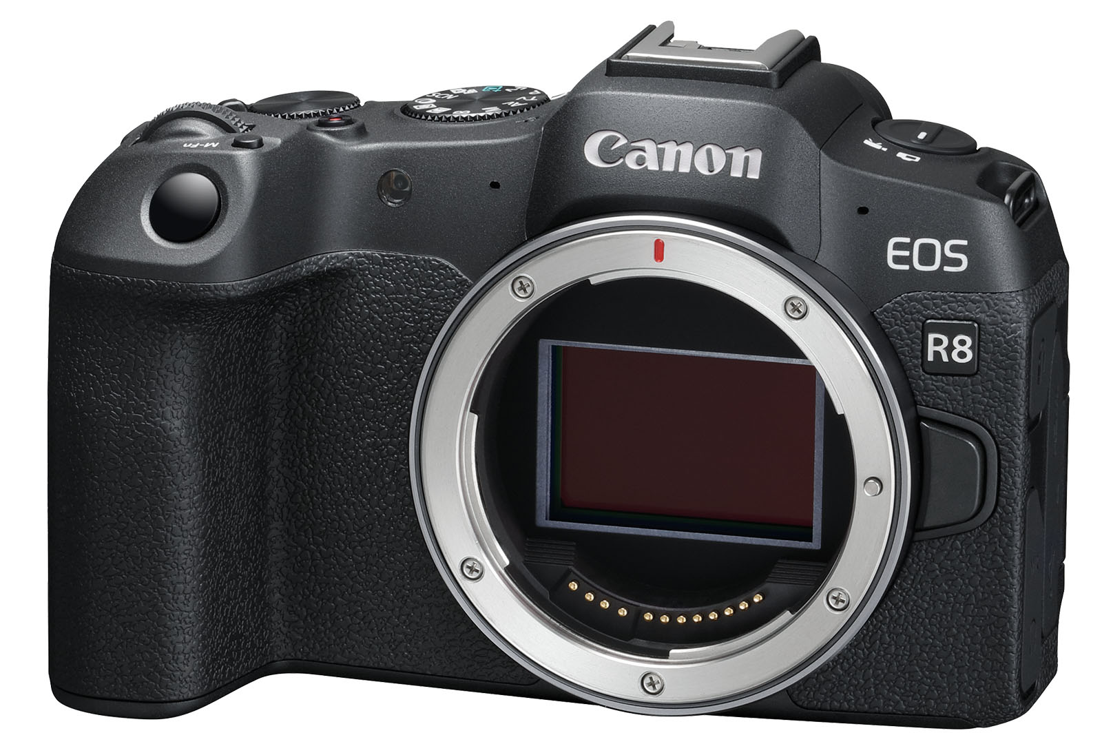 Canon EOS R8 ra mắt, mạnh mẽ như R6 II nhưng kích thước gọn hơn