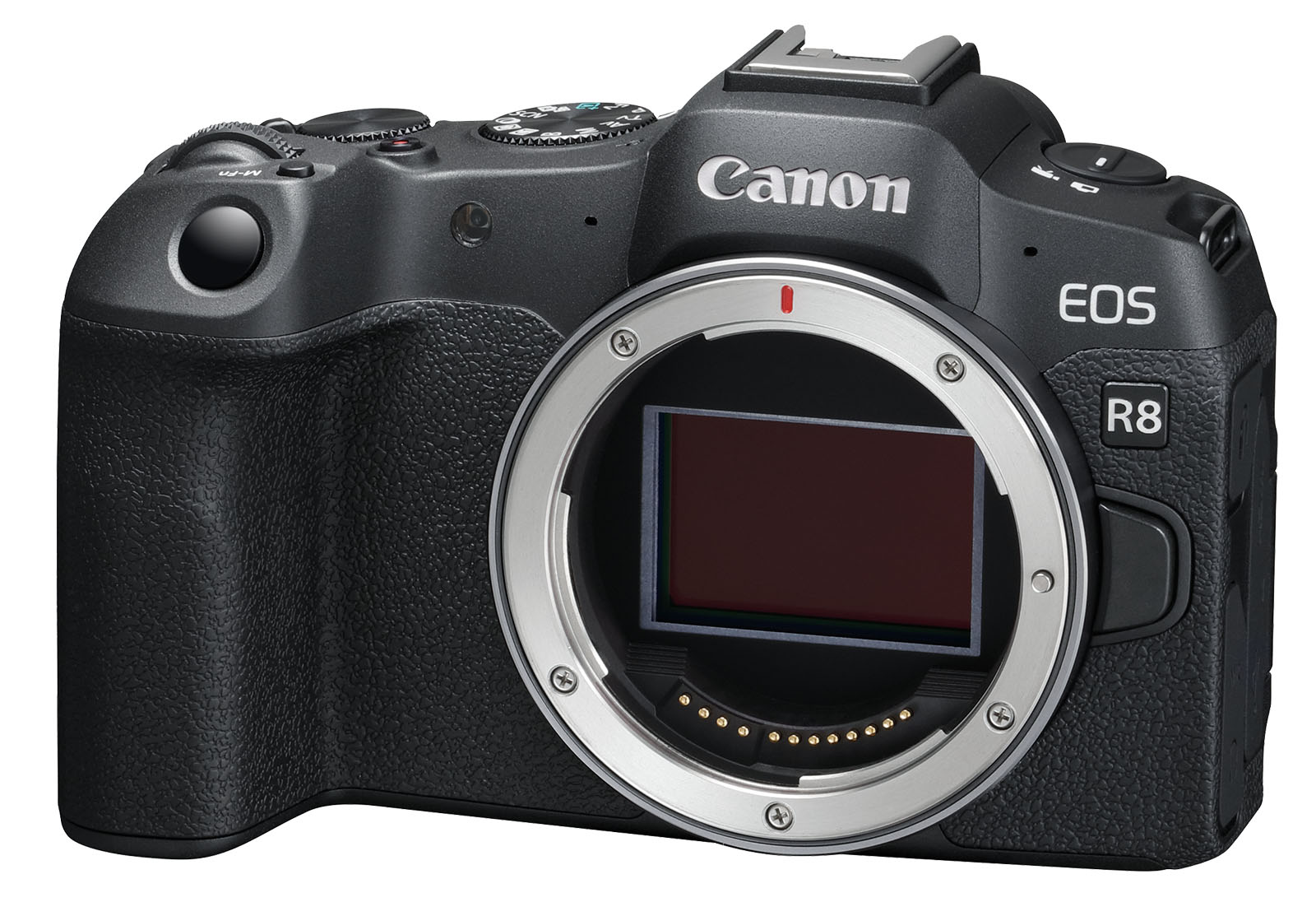 Canon EOS R8 01