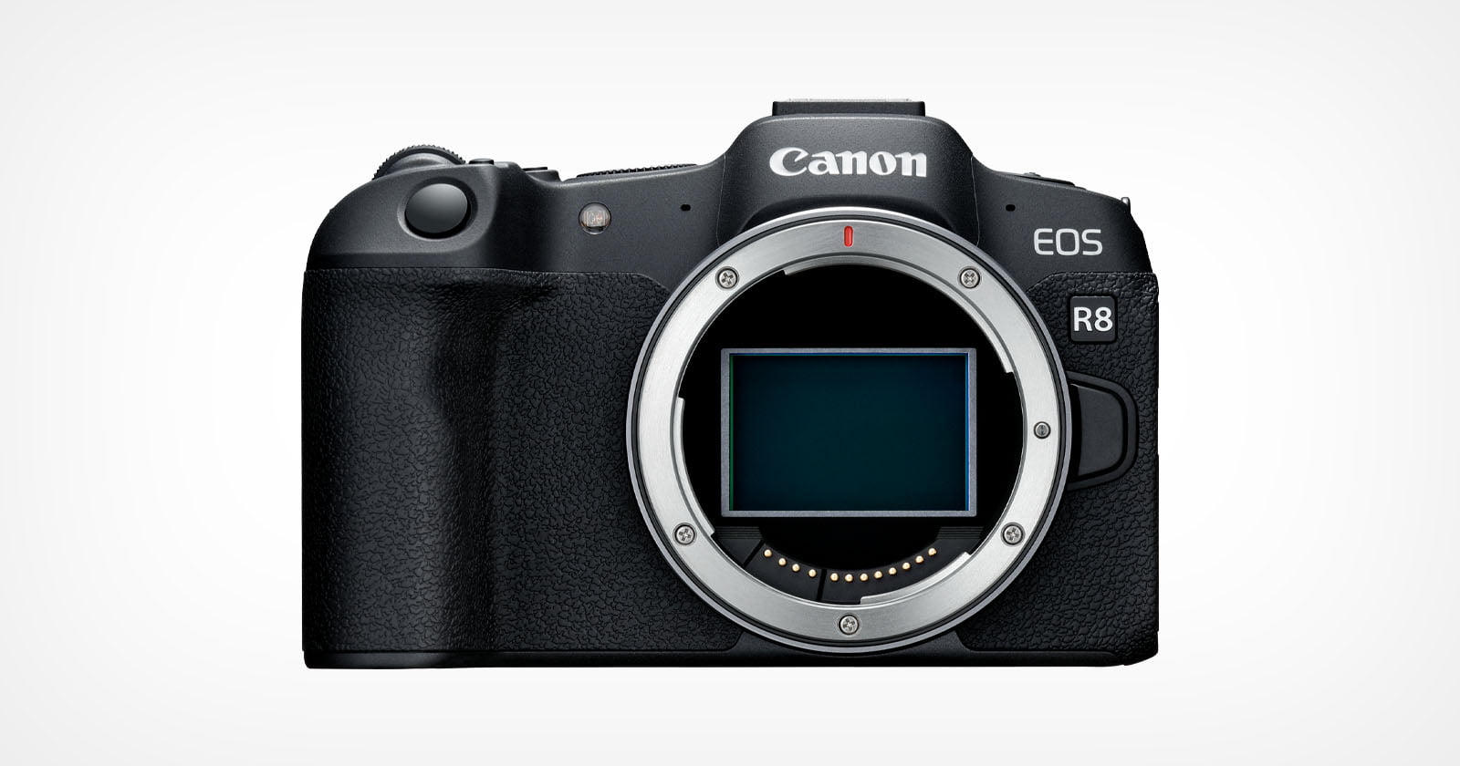 Canon EOS R8 ra mắt, mạnh mẽ như R6 II nhưng kích thước gọn hơn