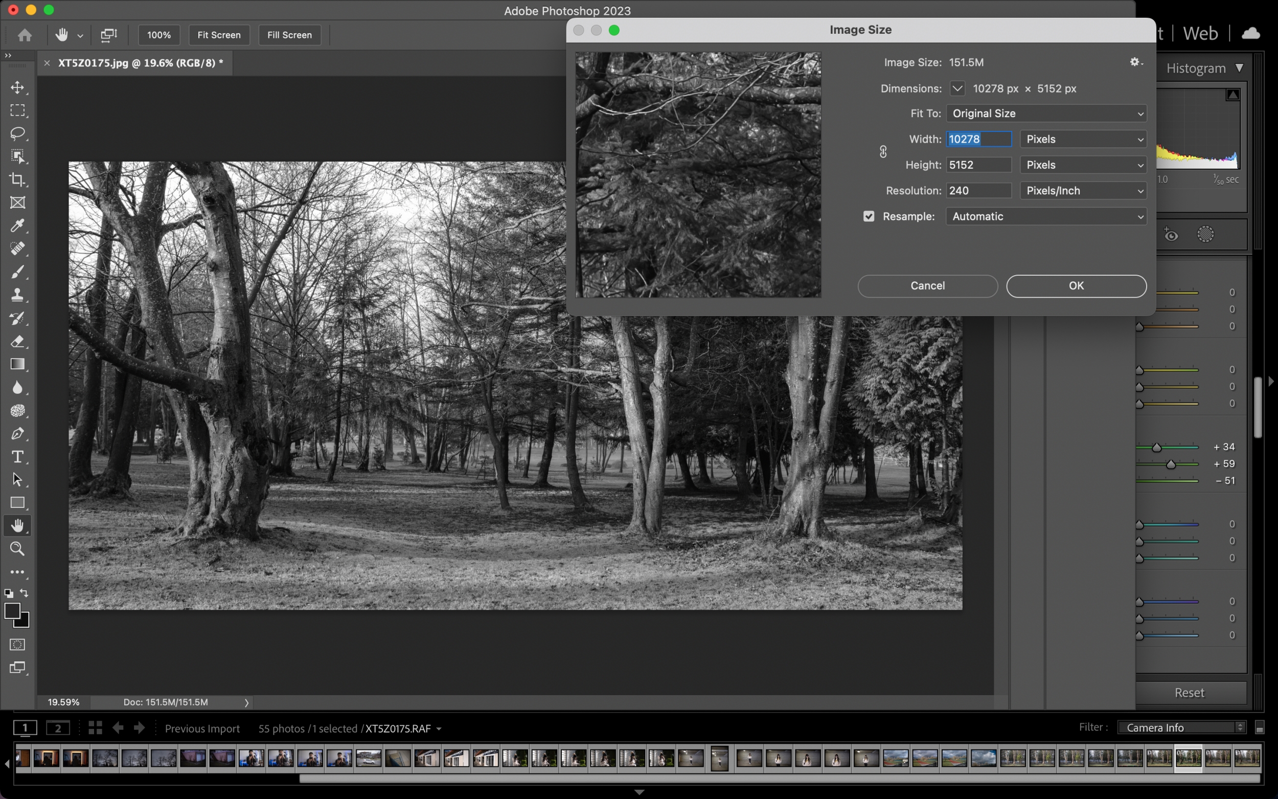 Screen Shot 2023 02 13 at 6.19.56 PM 2500