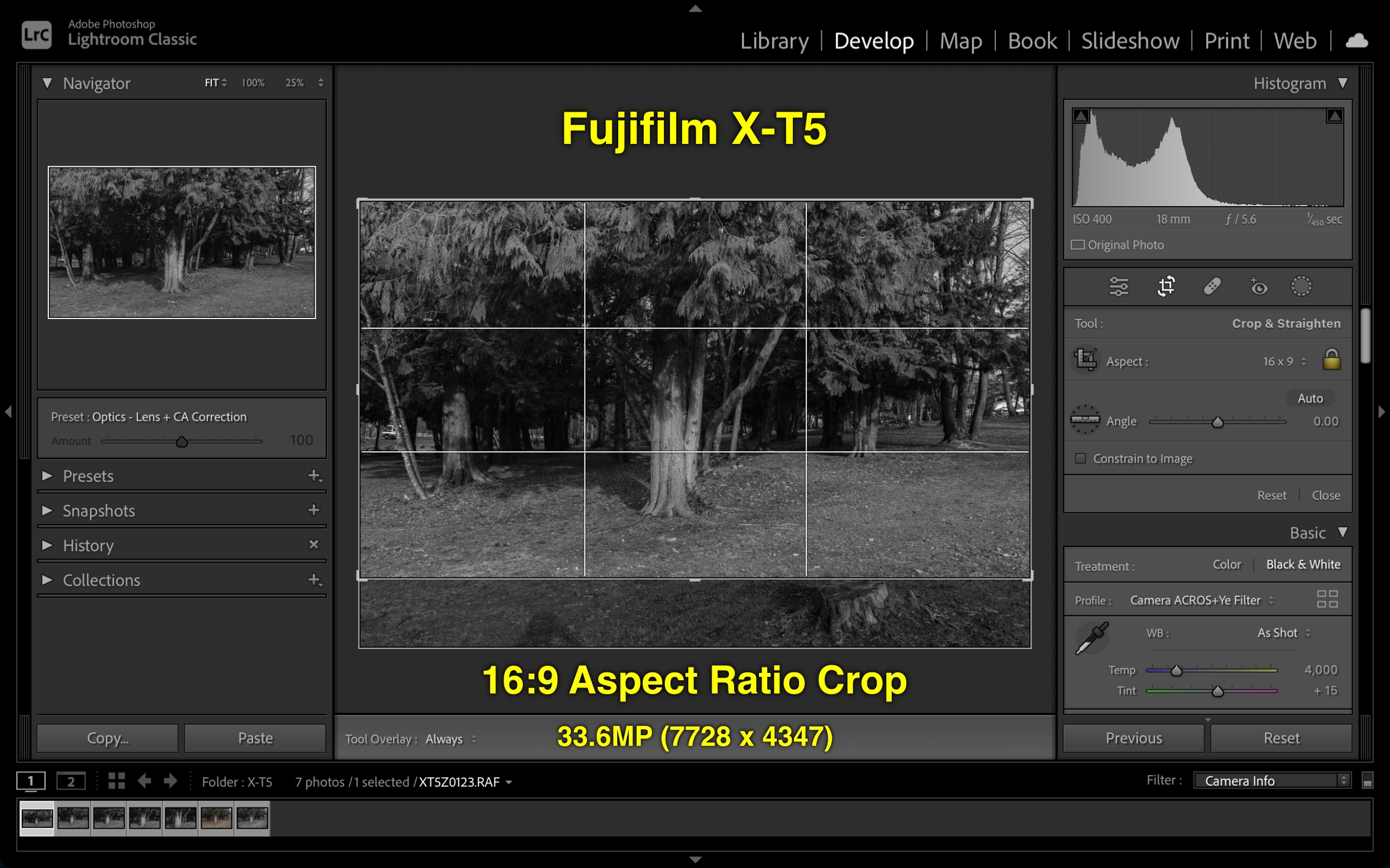 Tiềm năng thật sự của cảm biến 40MP trên Fujifilm X-T5 trong việc crop ảnh