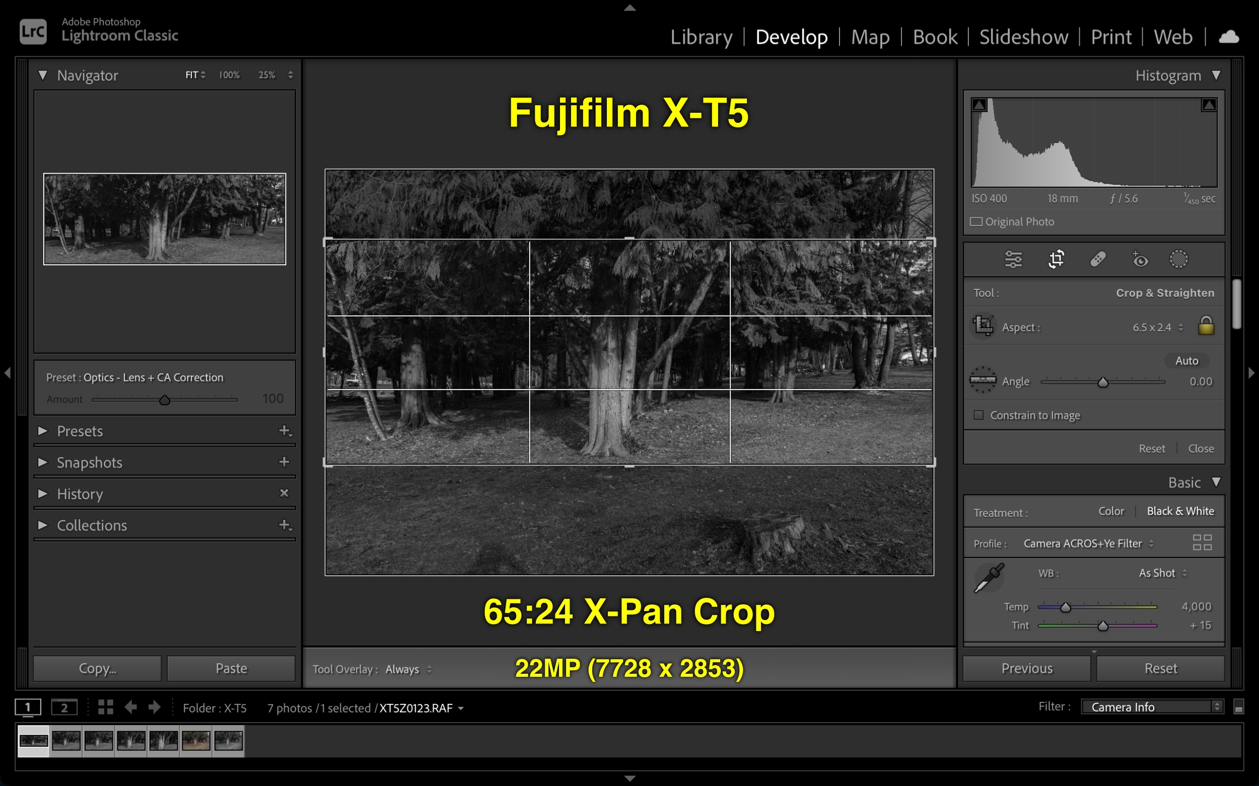 Tiềm năng thật sự của cảm biến 40MP trên Fujifilm X-T5 trong việc crop ảnh