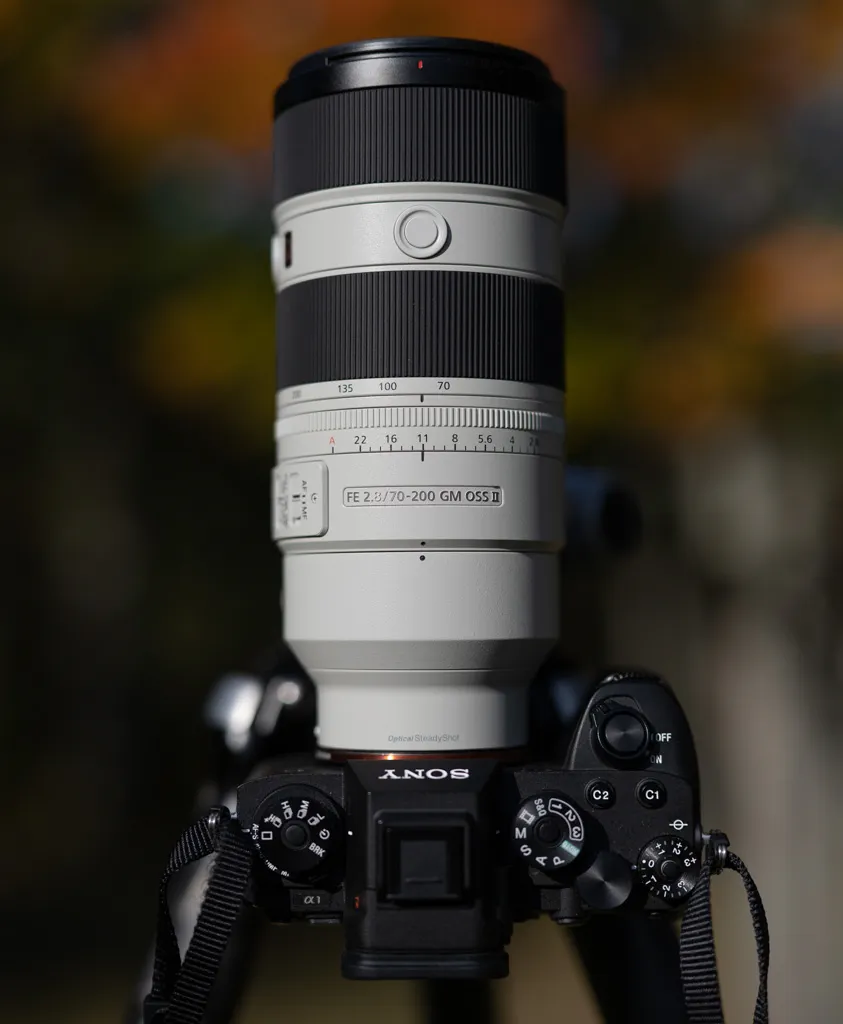 Sony FE 70 200mm F2.8 GM OSS II 15