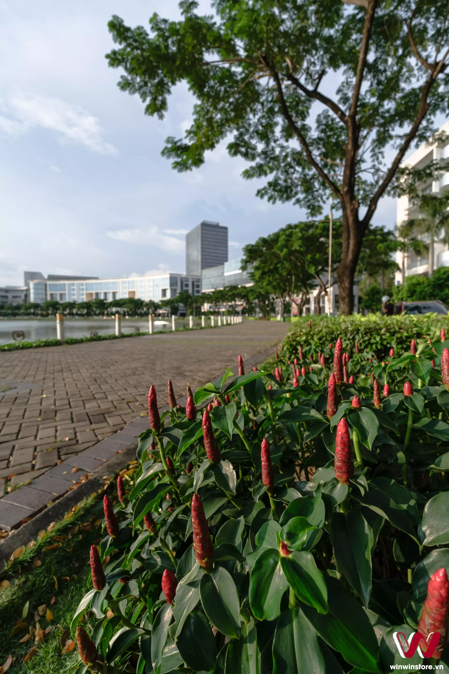 Trên tay ống kính Sigma 10-18mm F2.8 DC DN cho Fujifilm X