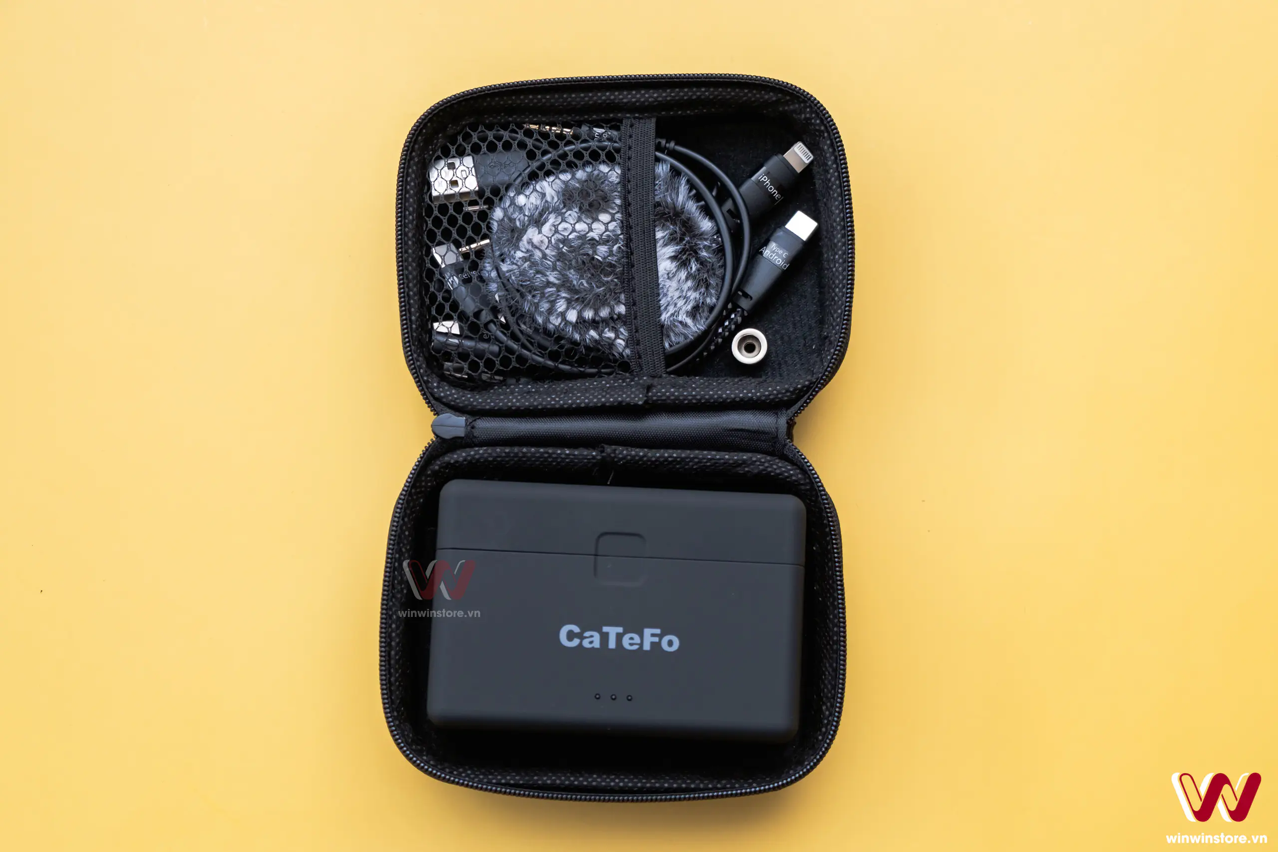 catefo star100 winwinstore 13