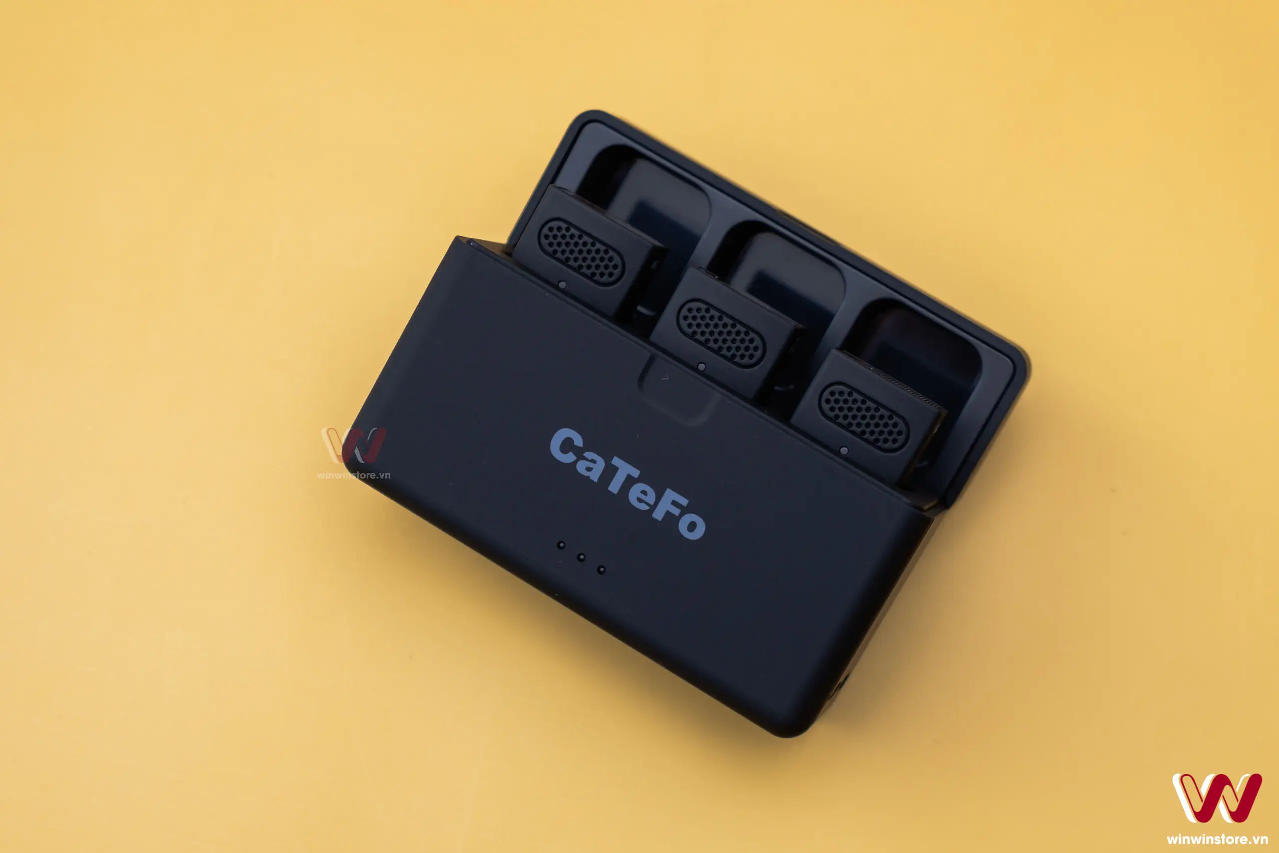 catefo star100 winwinstore 14