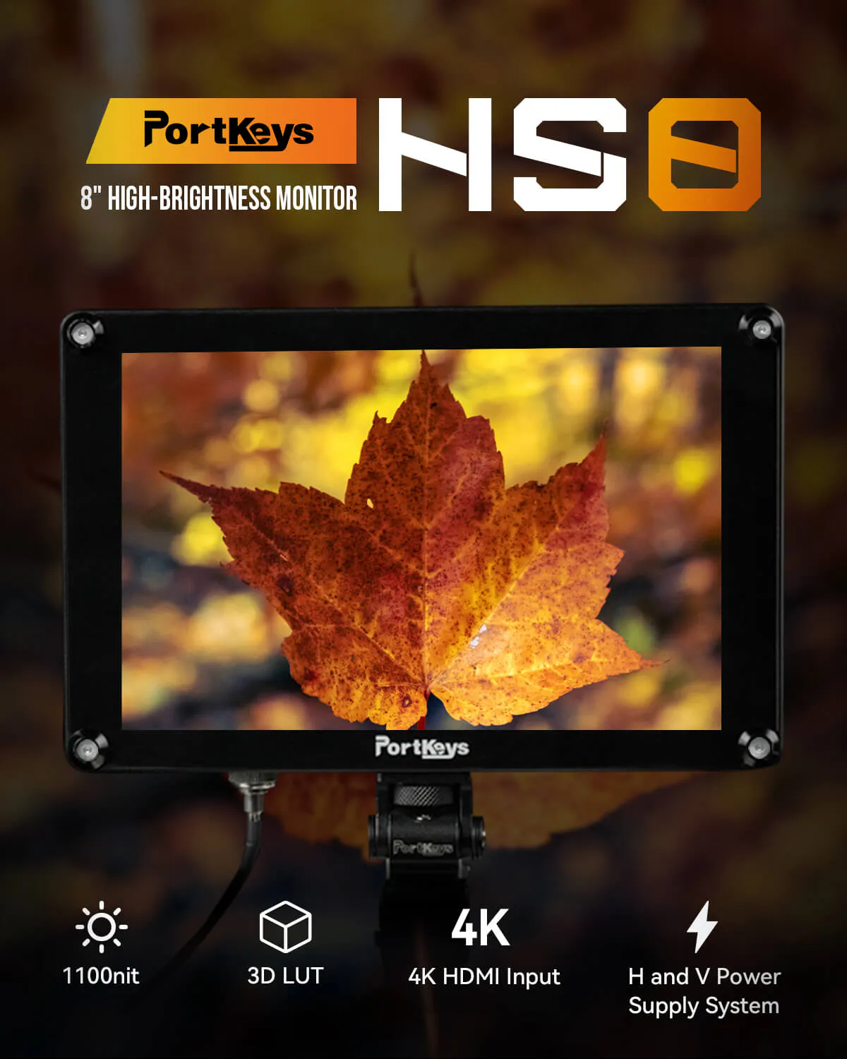 hs8 xq 01