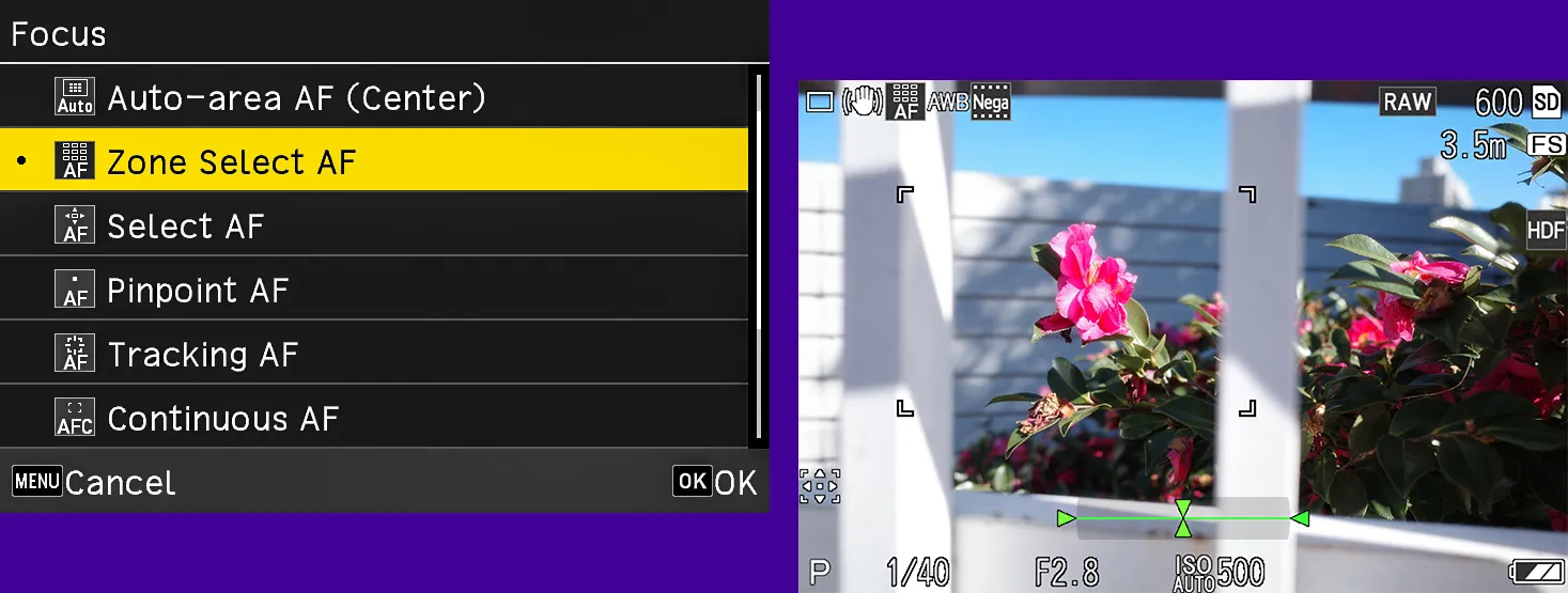 ricoh firmware 01