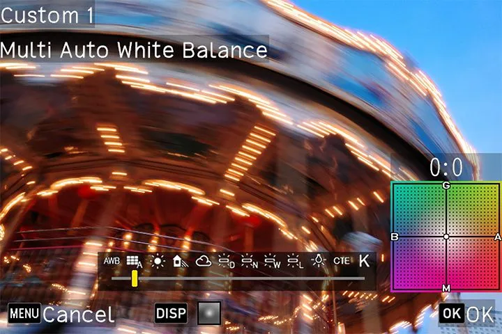 ricoh firmware 03