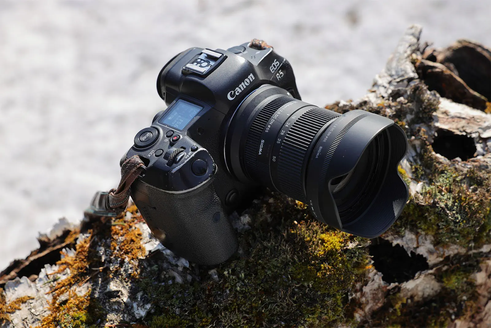 sigma 18 50mm f2 8 dc dn c 012