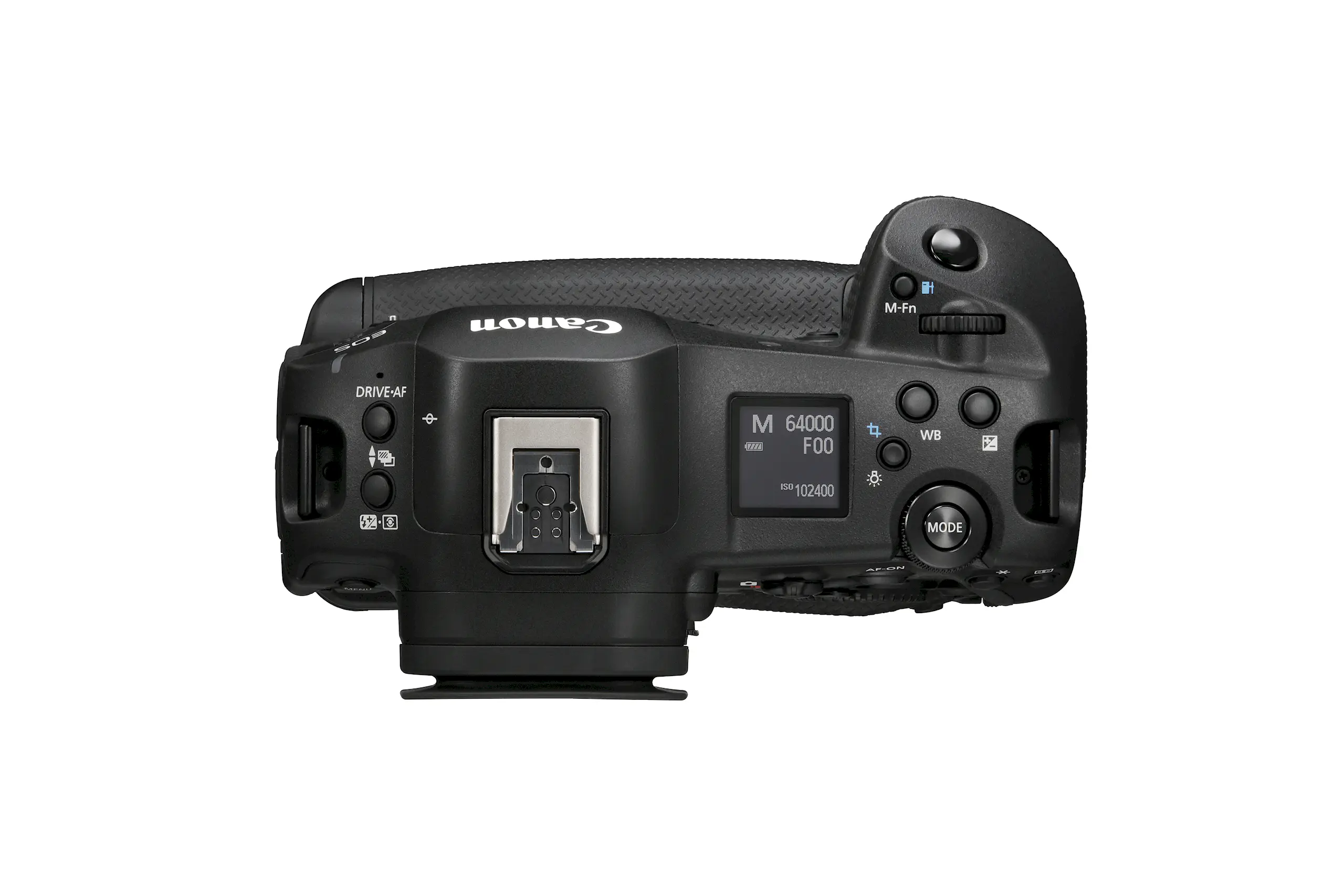 eos r1 top body