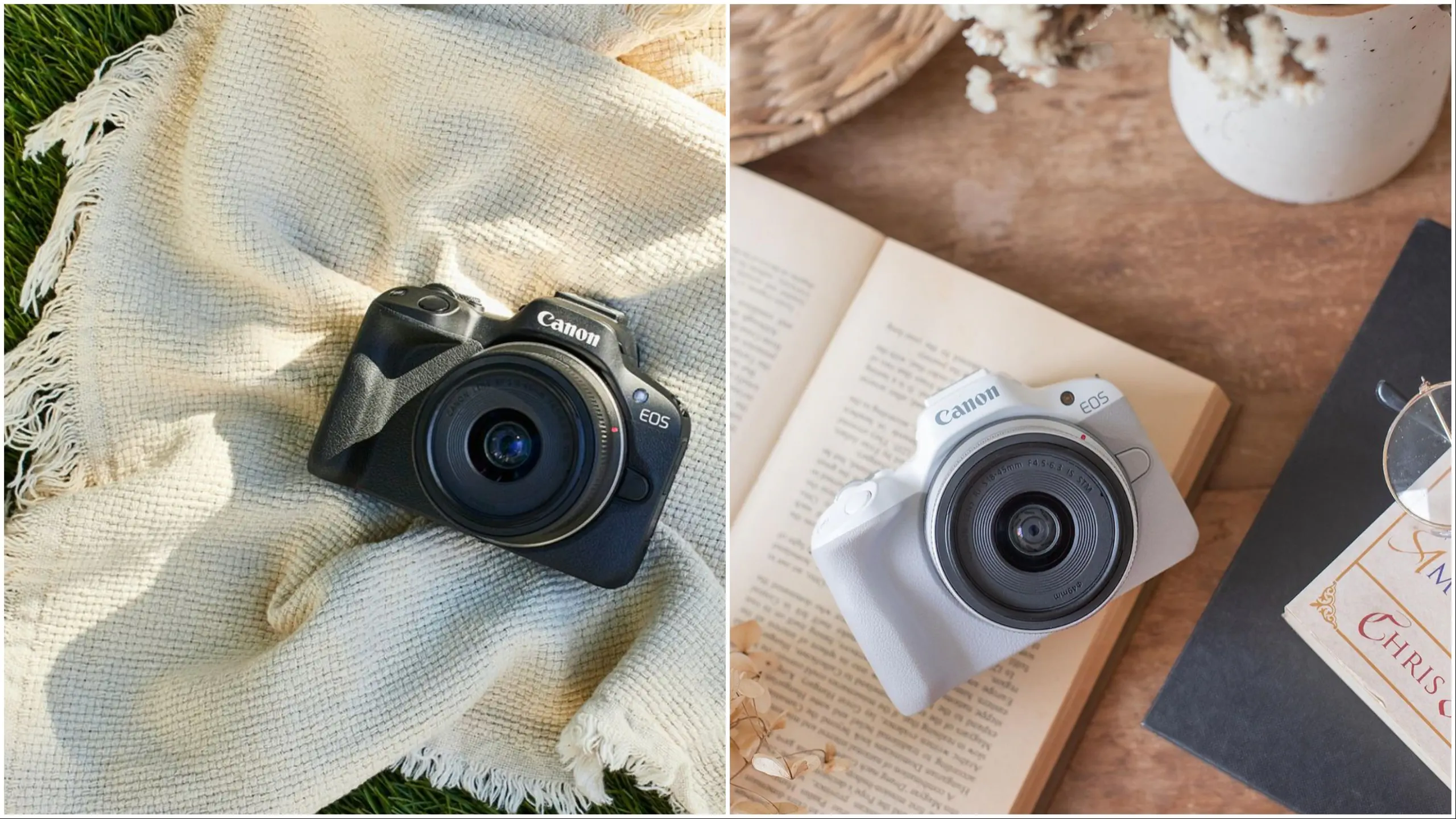 canon eos r50 6