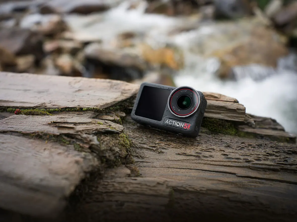 osmo action 5 pro lifestyle photos tree stump
