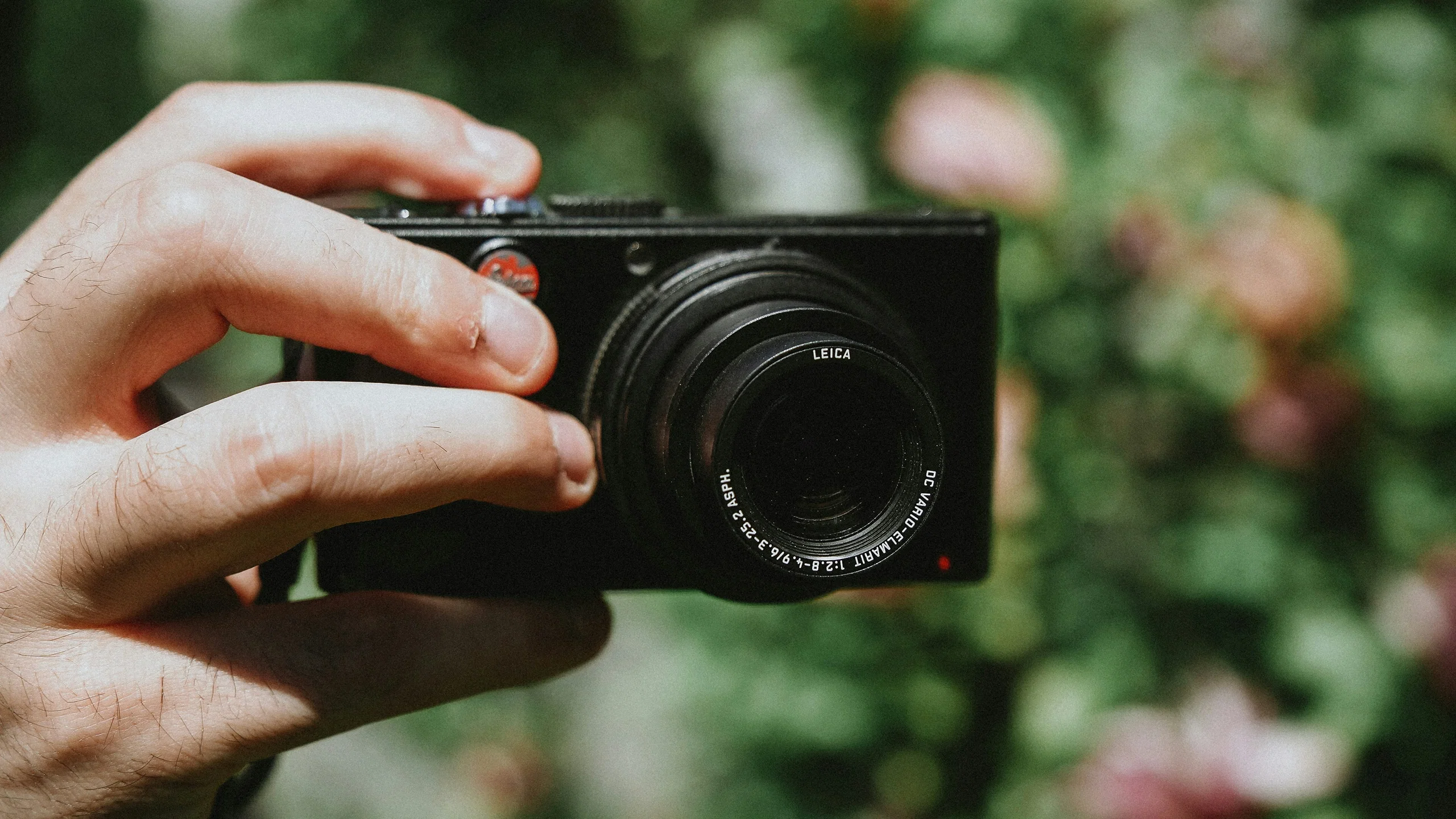 bruno yamazaky h4wo0nlkl4y unsplash