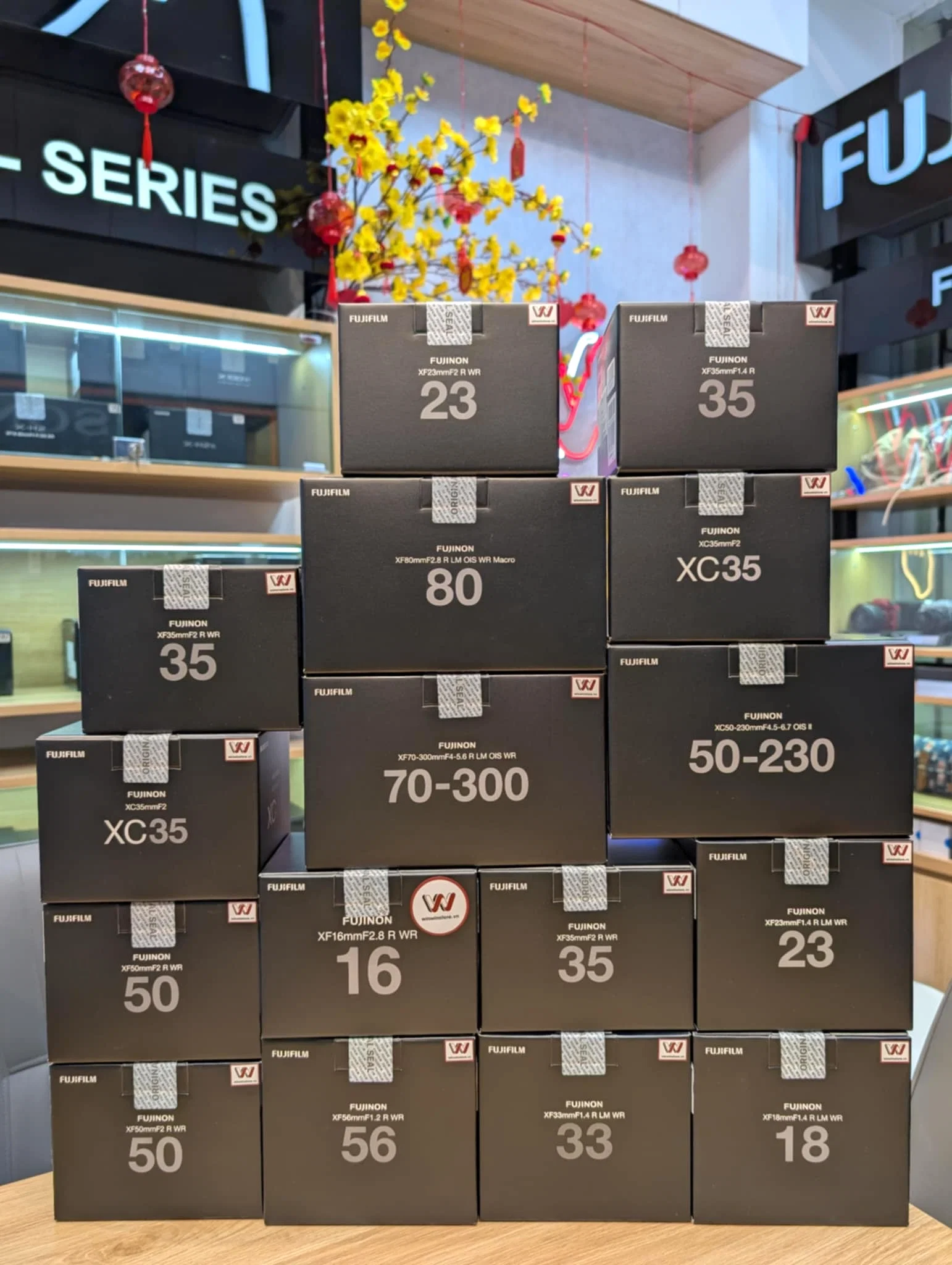 494551693 9129737077130964 7470817184045395102 n
