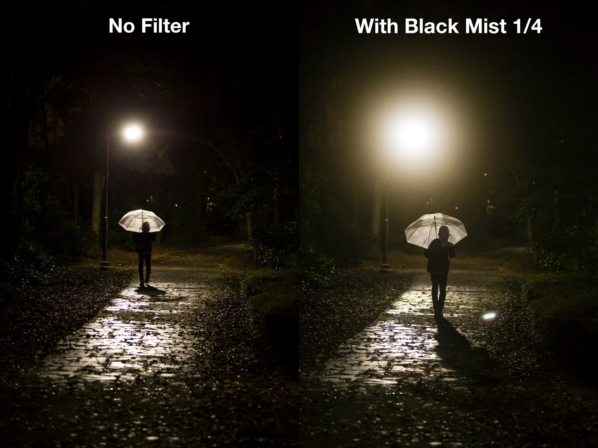 filter k f concept black mist 1 4 nano x chong tray chong nuoc black diffusion media 472a8