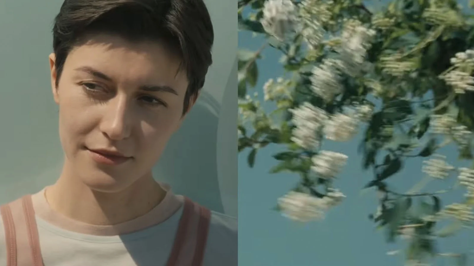 fujifilm teaser2 2