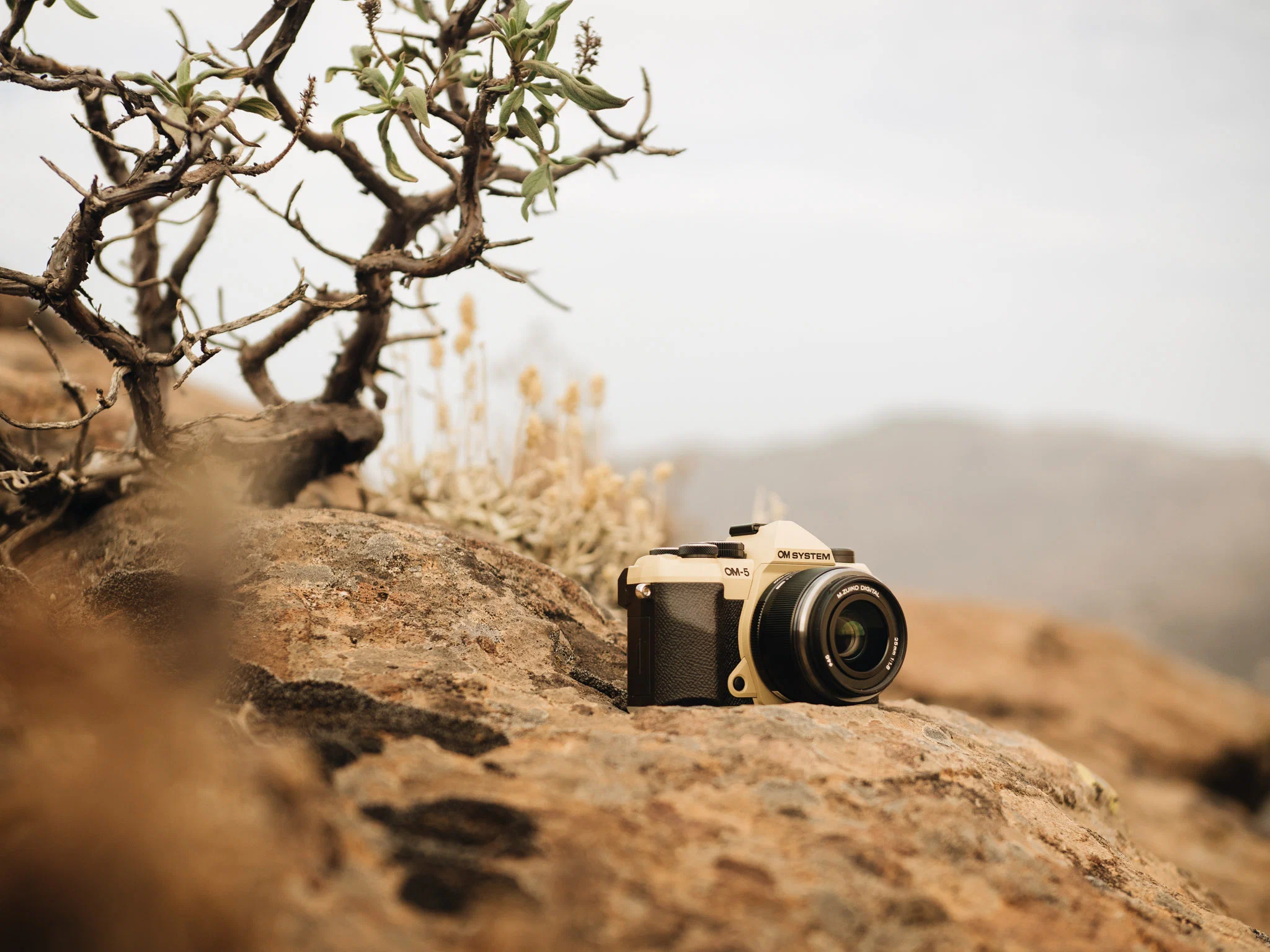 om system om 5 mark ii sand beige