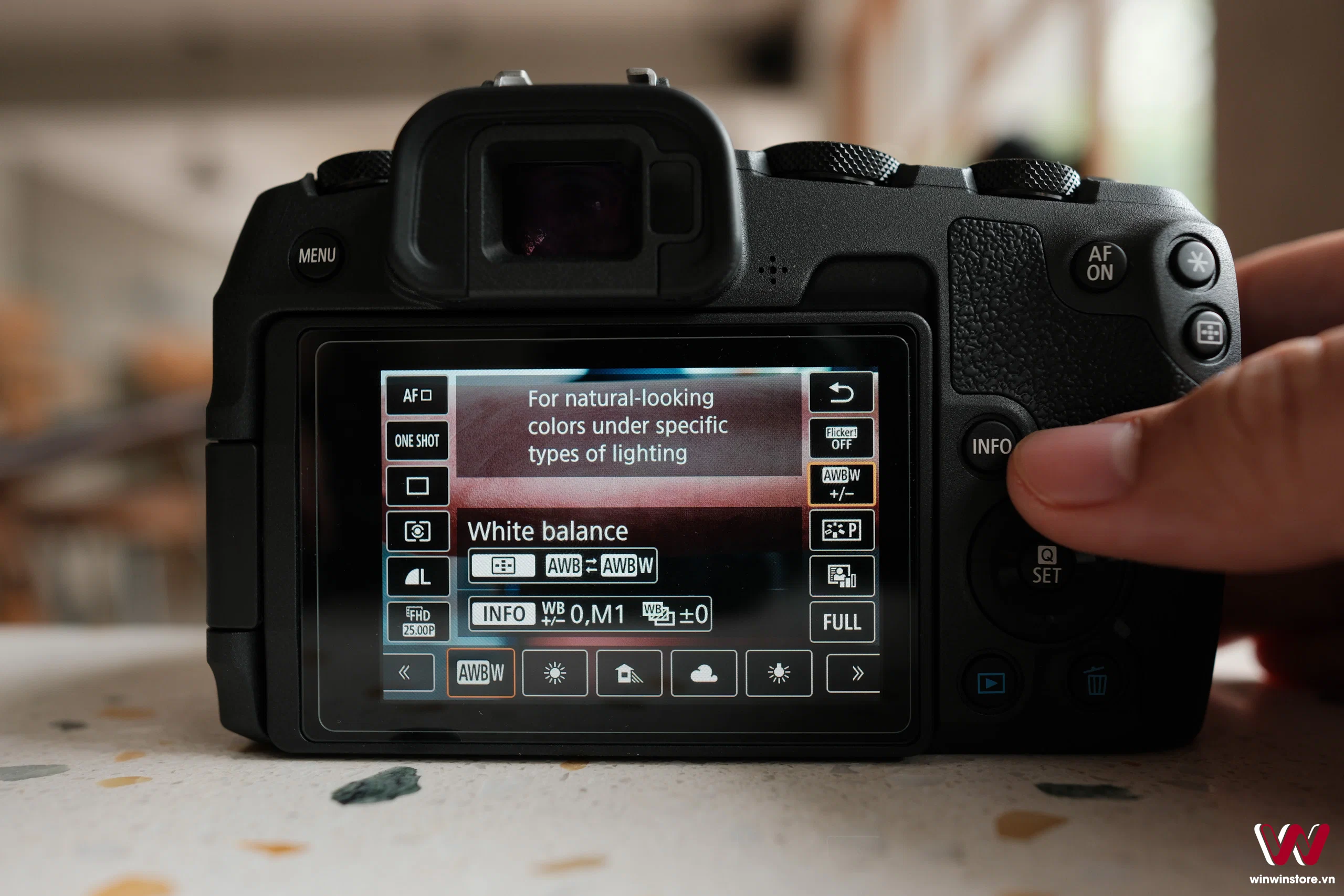 225 canon tips 0876