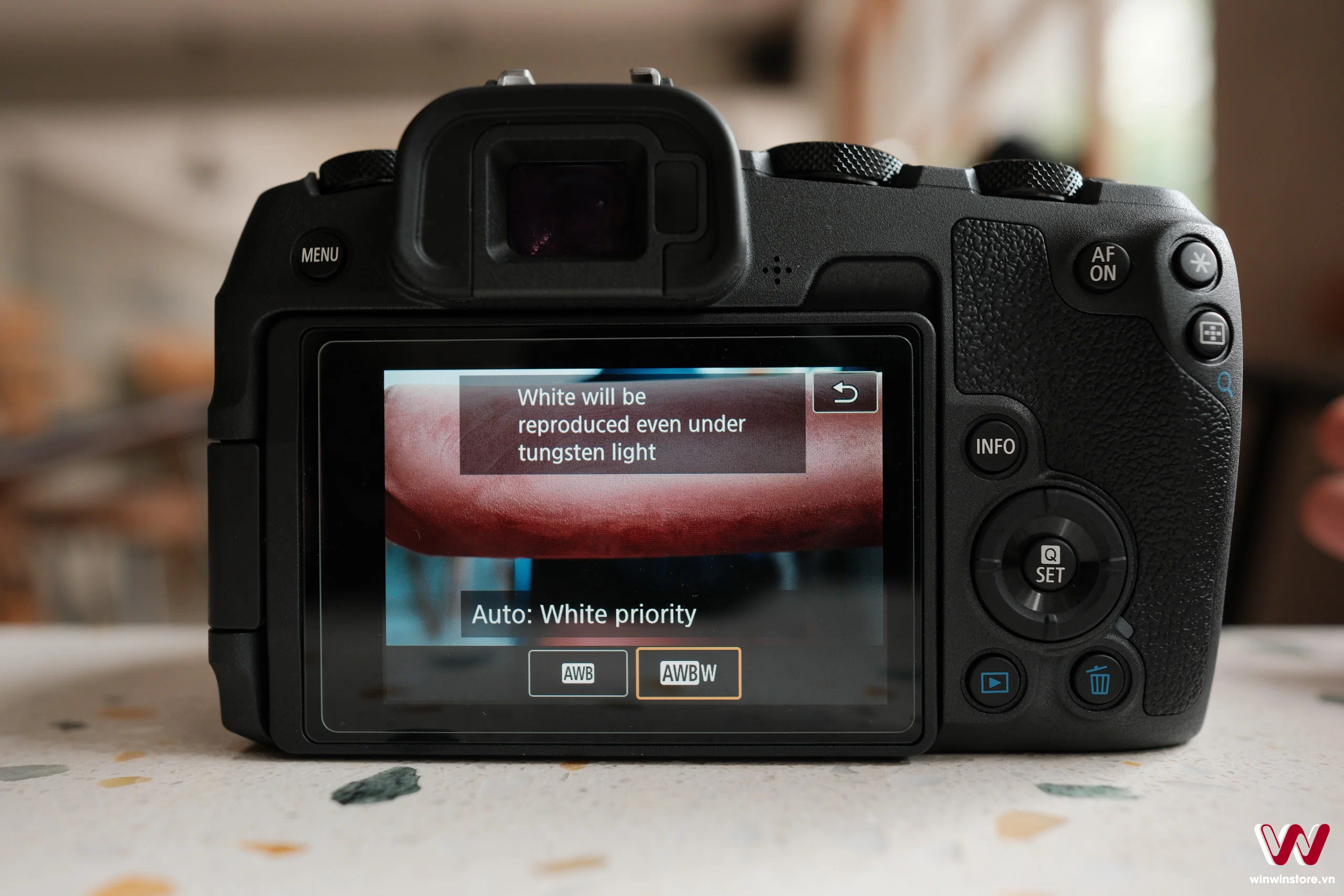 225 canon tips 0877