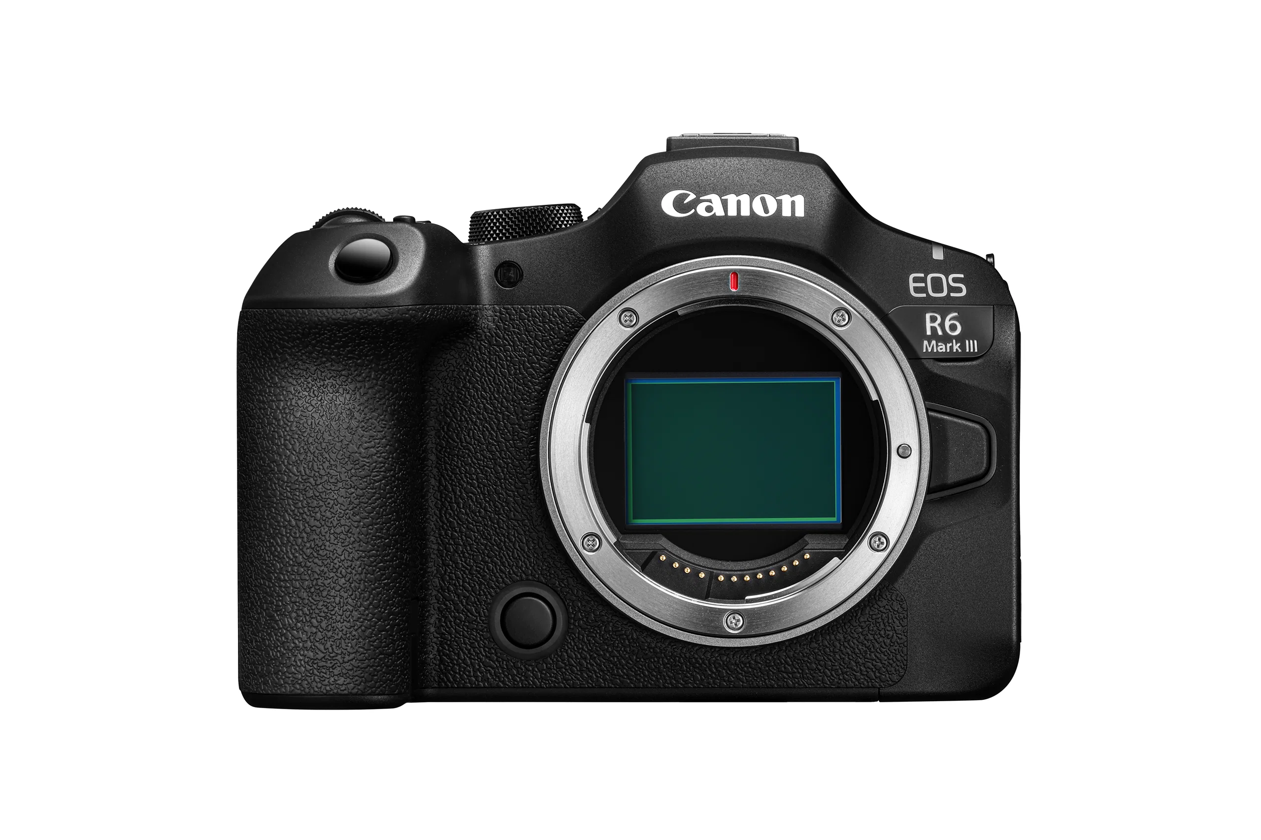 eos r6 mark iii body