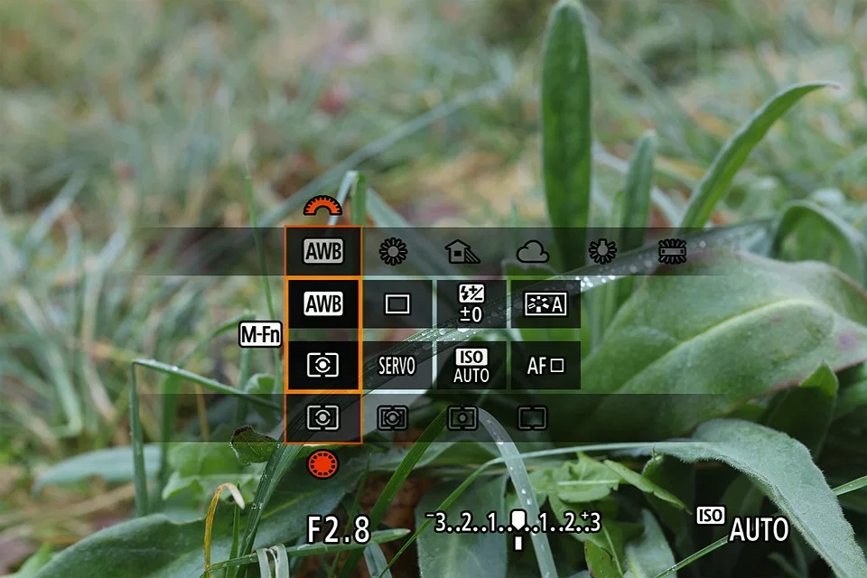 canon mfn menu