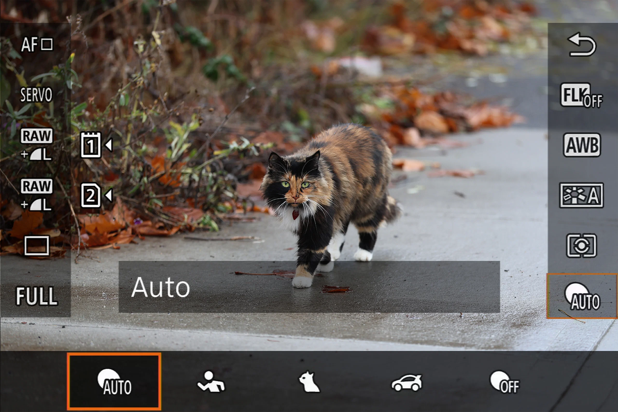 canon subject select screen 16 canon subject select screen