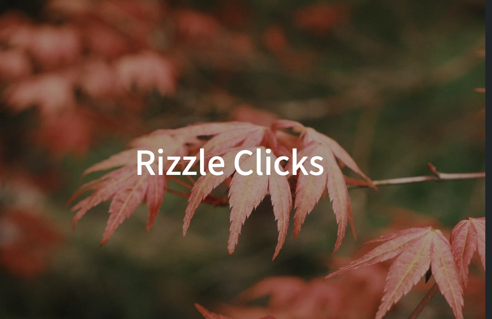 17 rizzle-clicks-cong-thuc-mau-fujifilm