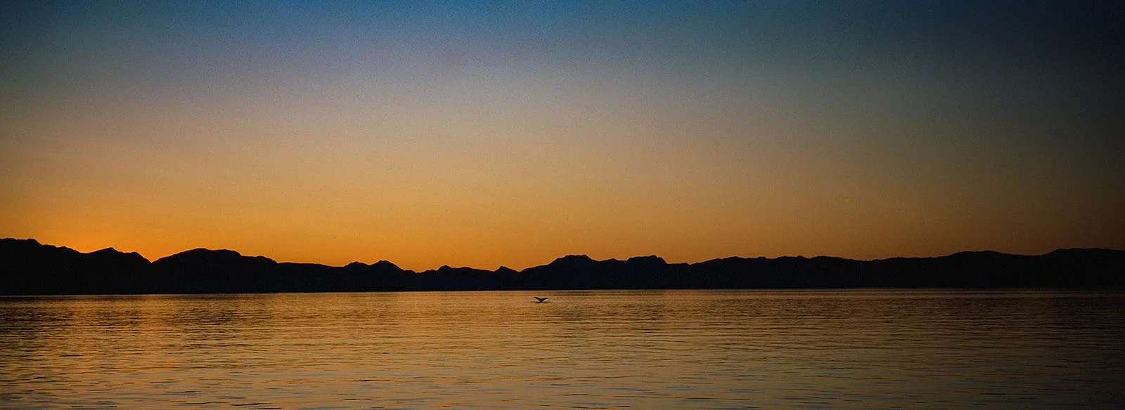 alaska sunset