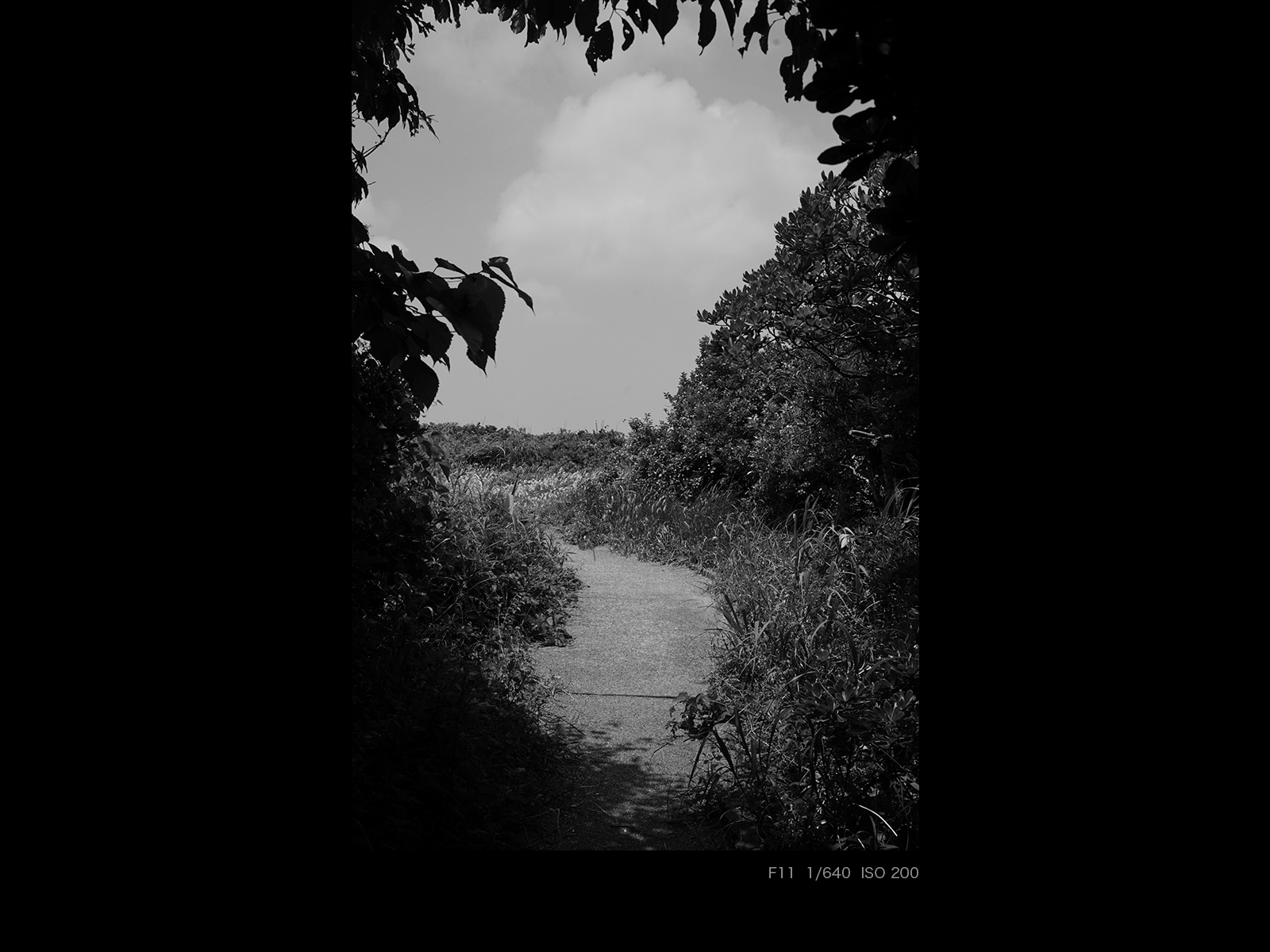 001a0fc5e1