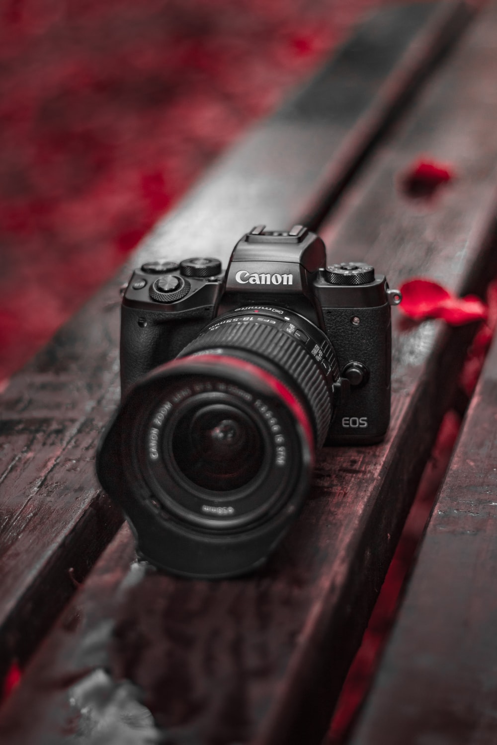 Canon sẽ tung dòng EOS-M mới với IBIS, adapter mới và thêm một chiếc máy ảnh EOS R vào cuối năm nay