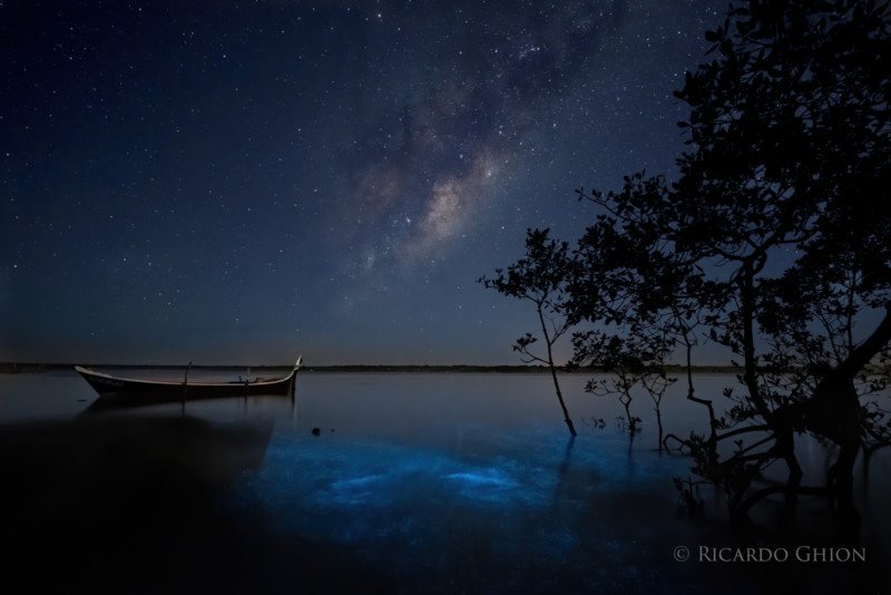 Bộ ảnh chụp Milky Way cùng với hiện tượng Phát Quang Sinh Học bằng máy ảnh ảnh Fujifilm và Sony